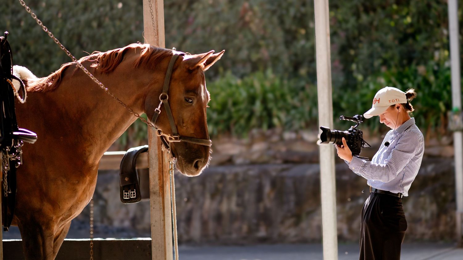 A filmmaker films a chestnut horse tied to a post outdoors in natural sunlight.