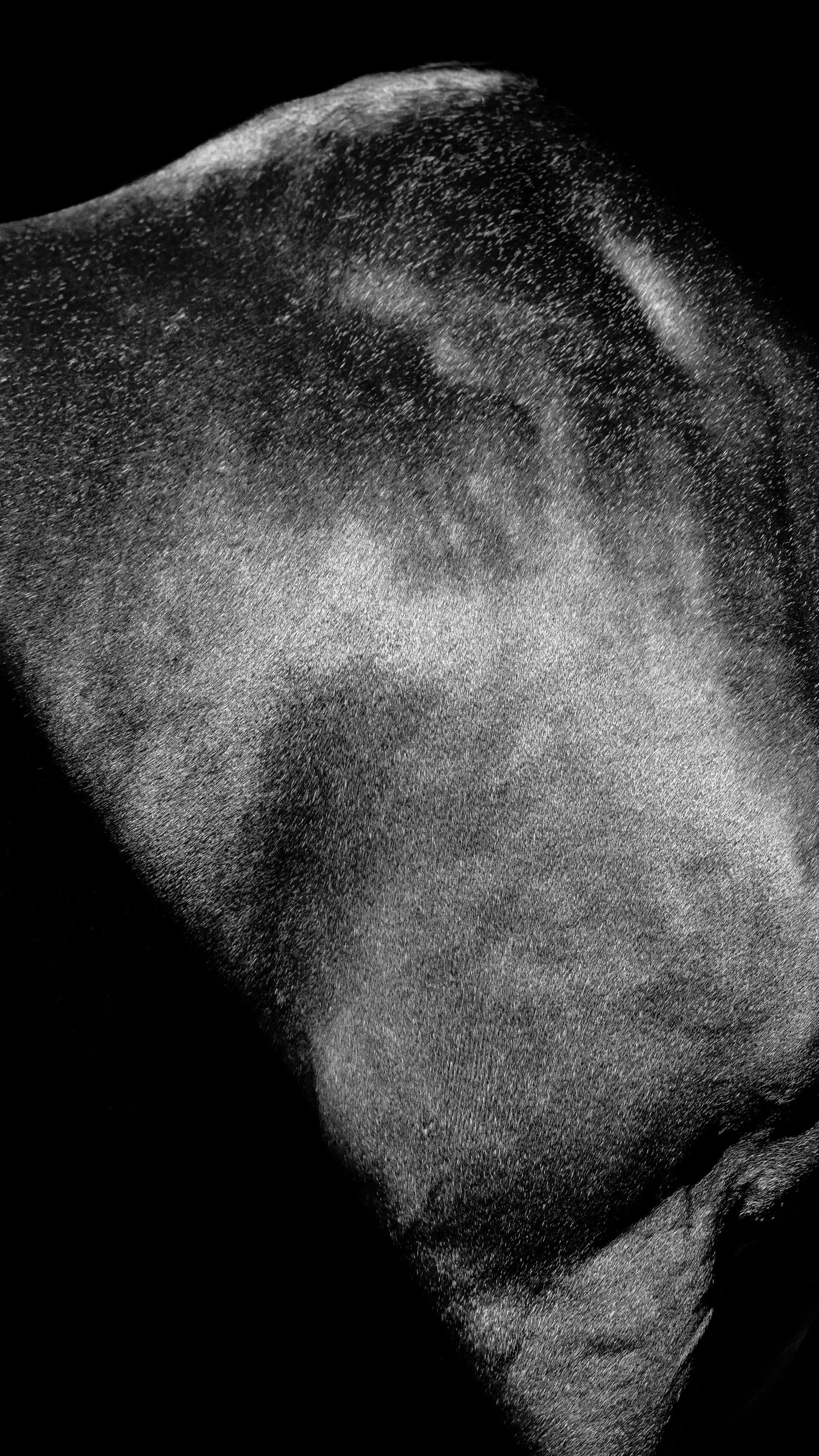 Black and white ultrasound images showing progressive stages of fetal development in medical scans.