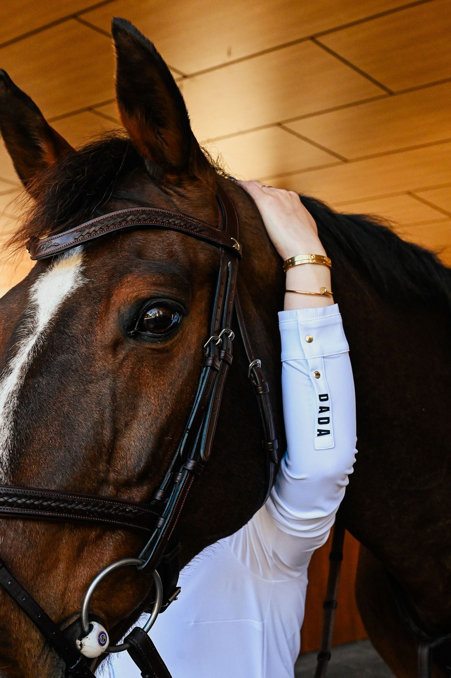 A series of four connected photos showing a dark brown horse wearing a bridle and white protective leg wraps in a stable.