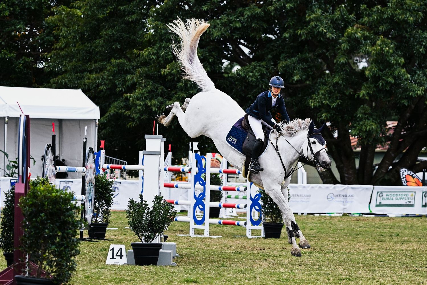 Horse riders compete in an outdoor equestrian show jumping competition with white fences and course markers.