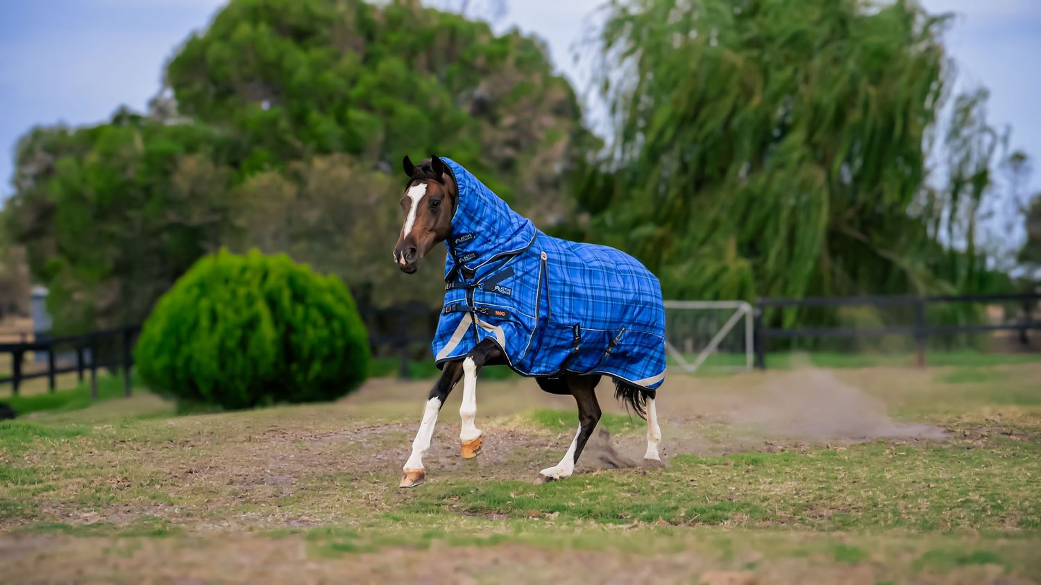 Horse and rider training in an outdoor arena surrounded by green trees.