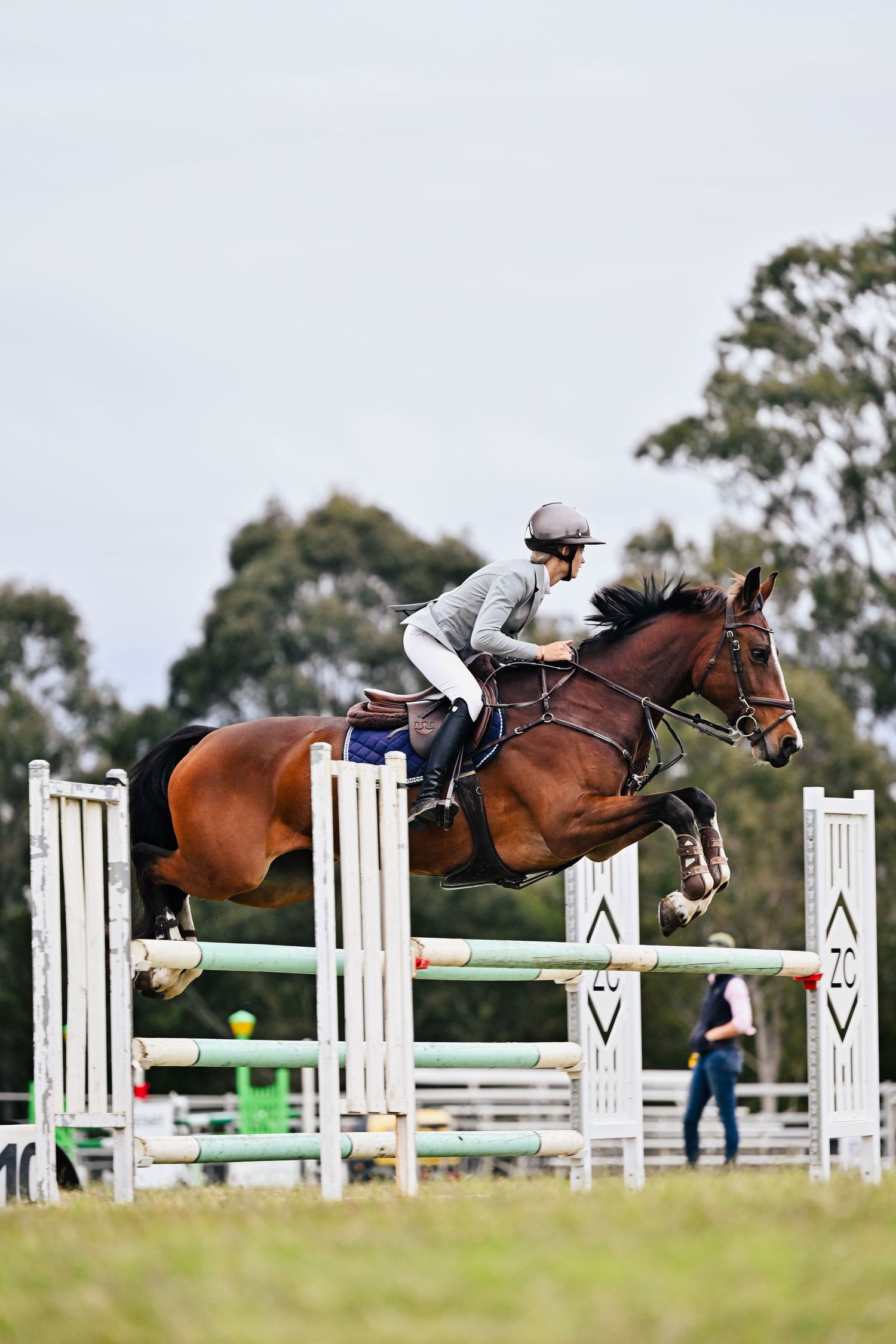Equestrian athlete jumps bay horse over white and green show jump on grass arena.