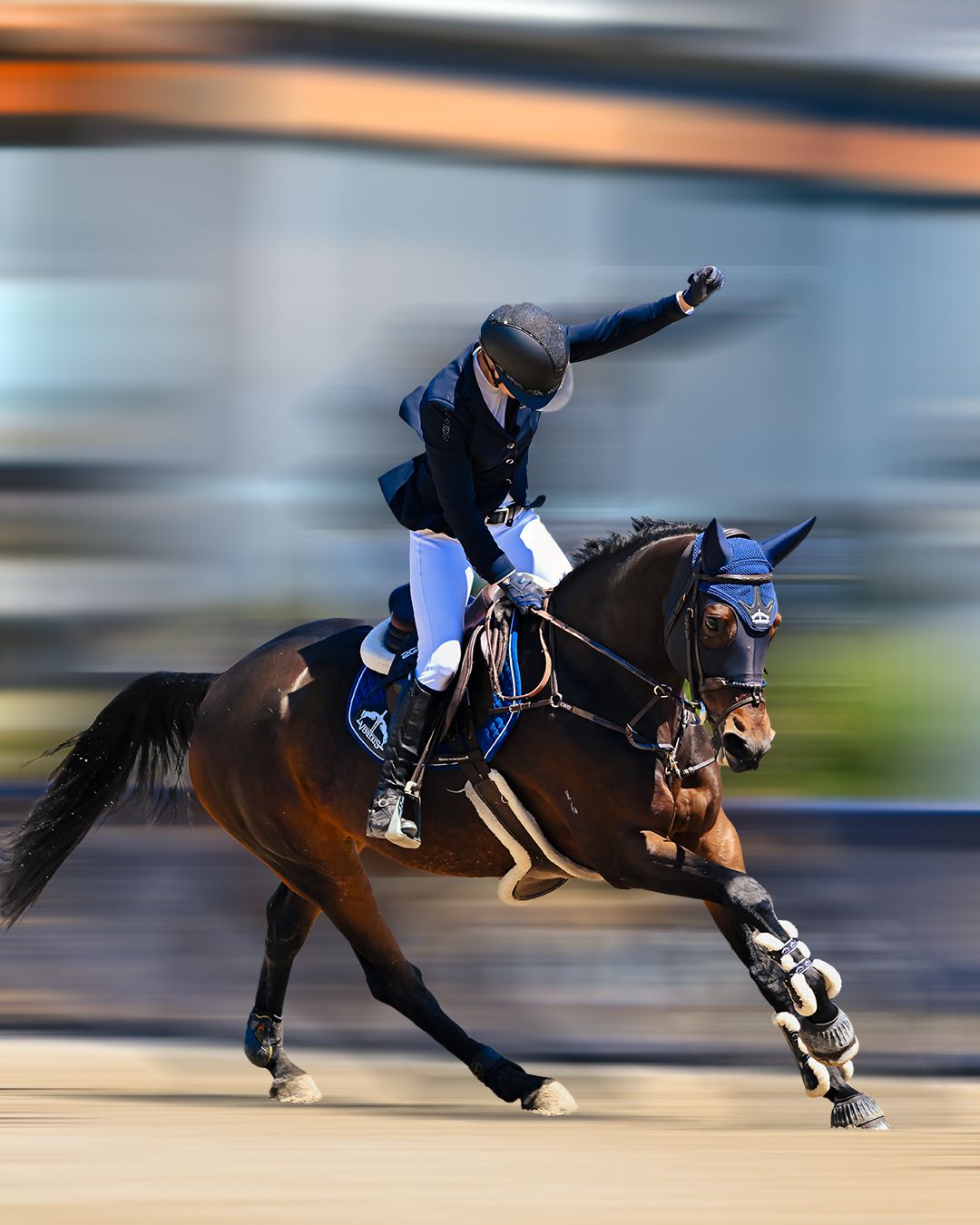 Equestrian rider in blue jacket galloping on dark bay horse at speed, motion blur background.