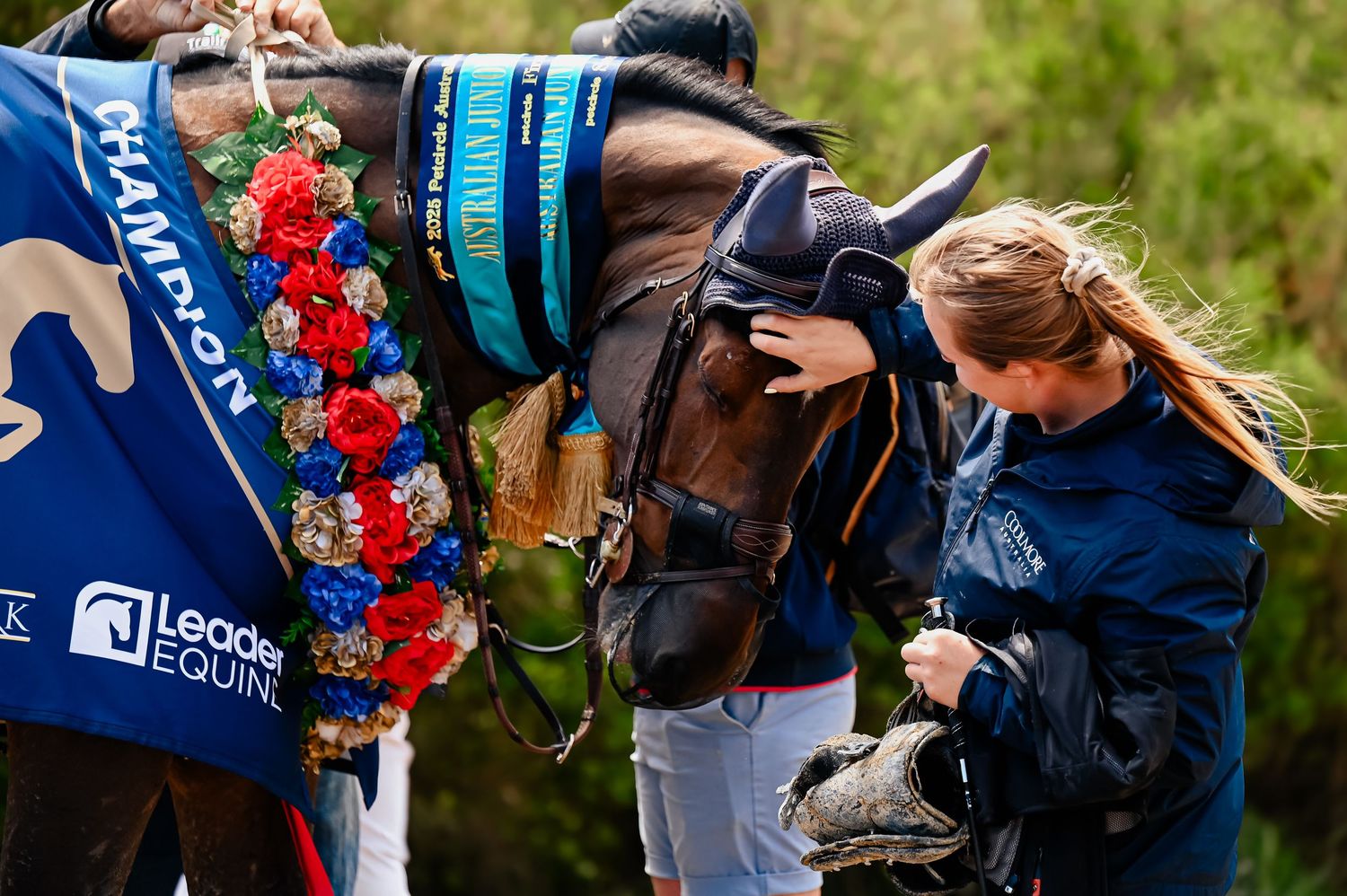 Girl patting horse with ribbons and a blue rug on the head.