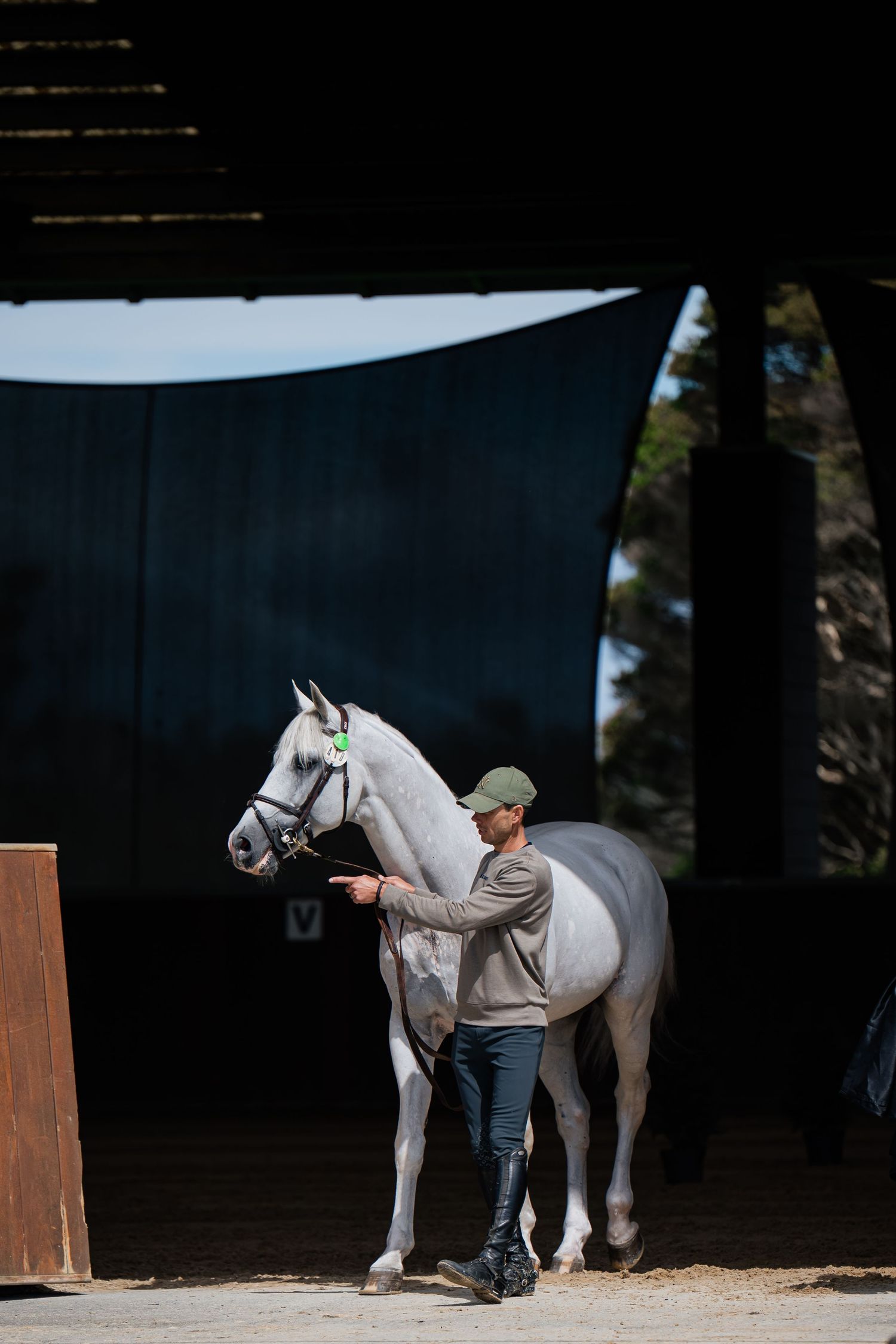 Person in casual attire grooms a white horse in an outdoor arena during dusk hours.