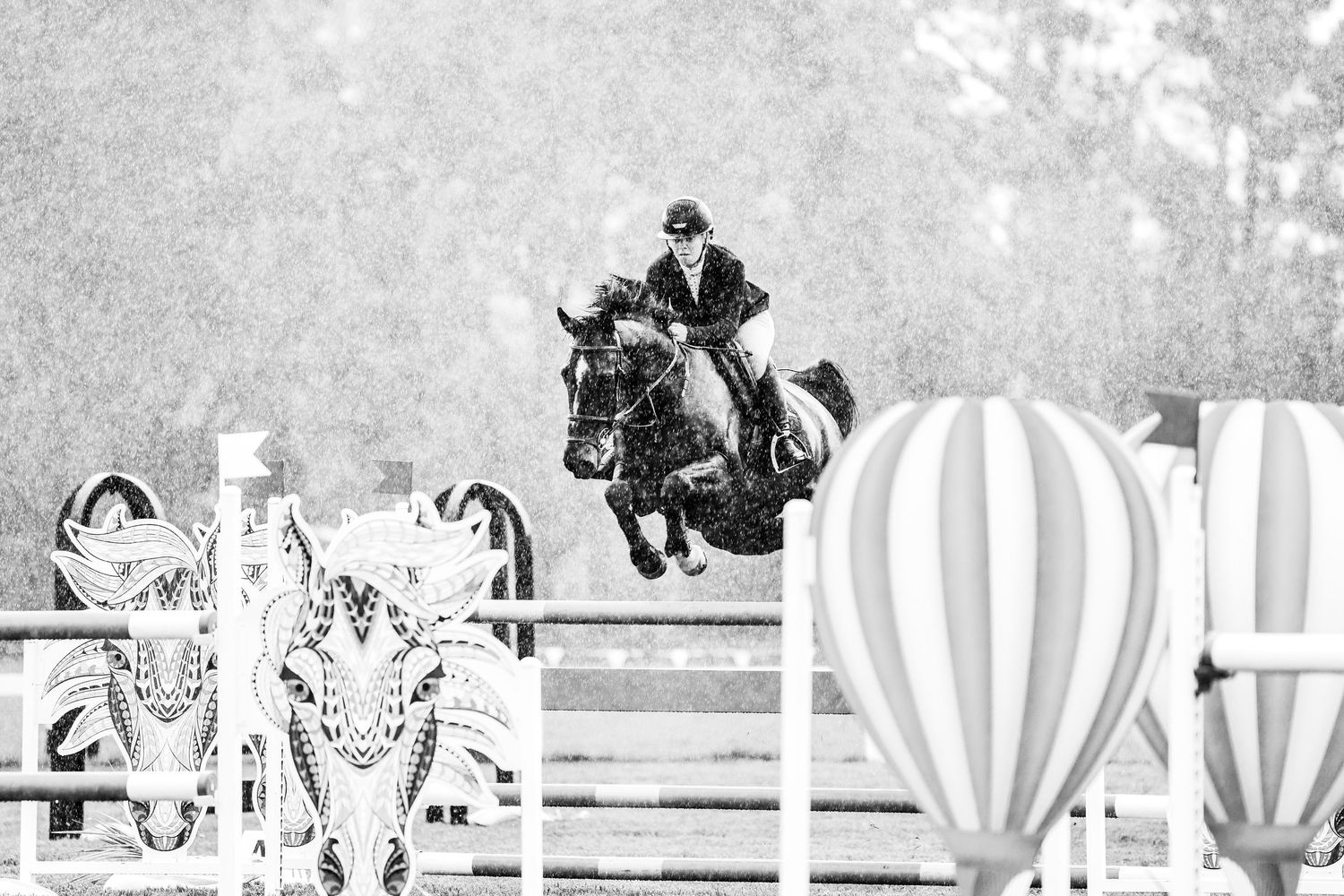 Black and white image of equestrian show jumping course with decorative balloon barriers.