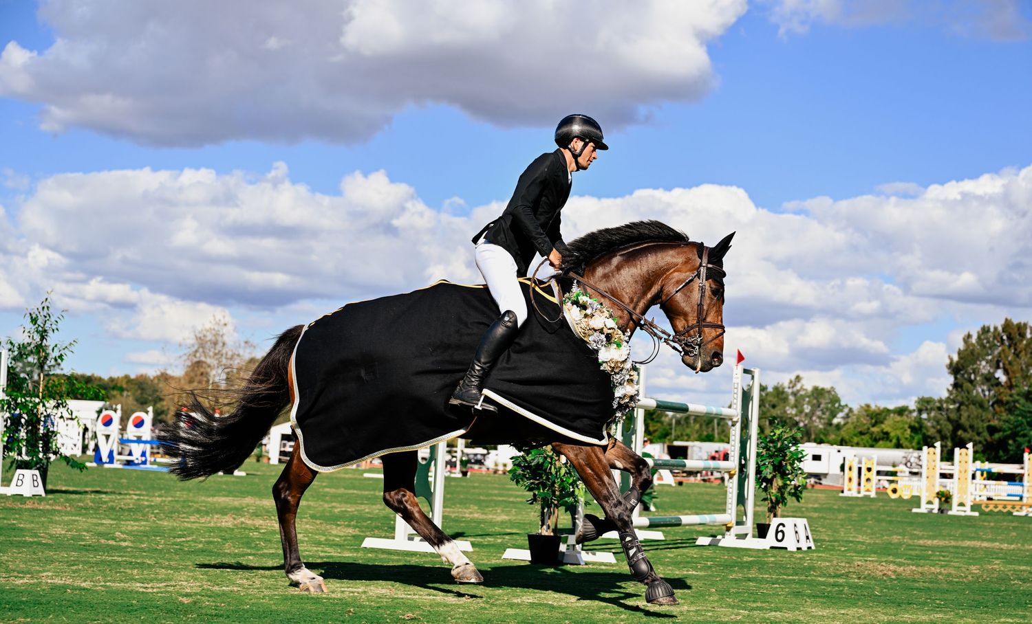 Horse and rider with a winning rug cantering during an equestrian competition.