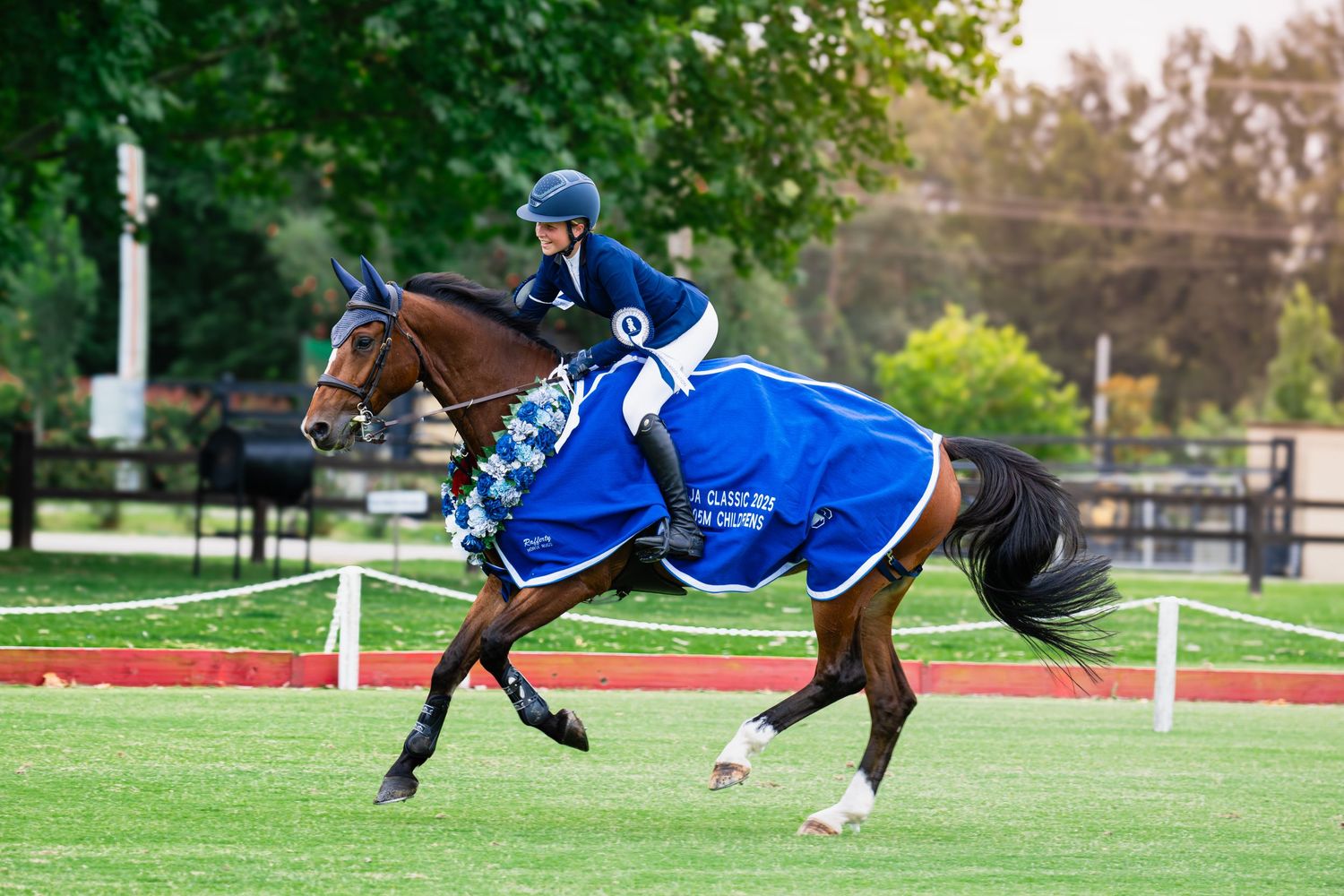 A series of equestrian training photos showing a horse and rider practicing jumps and movements in an outdoor arena.