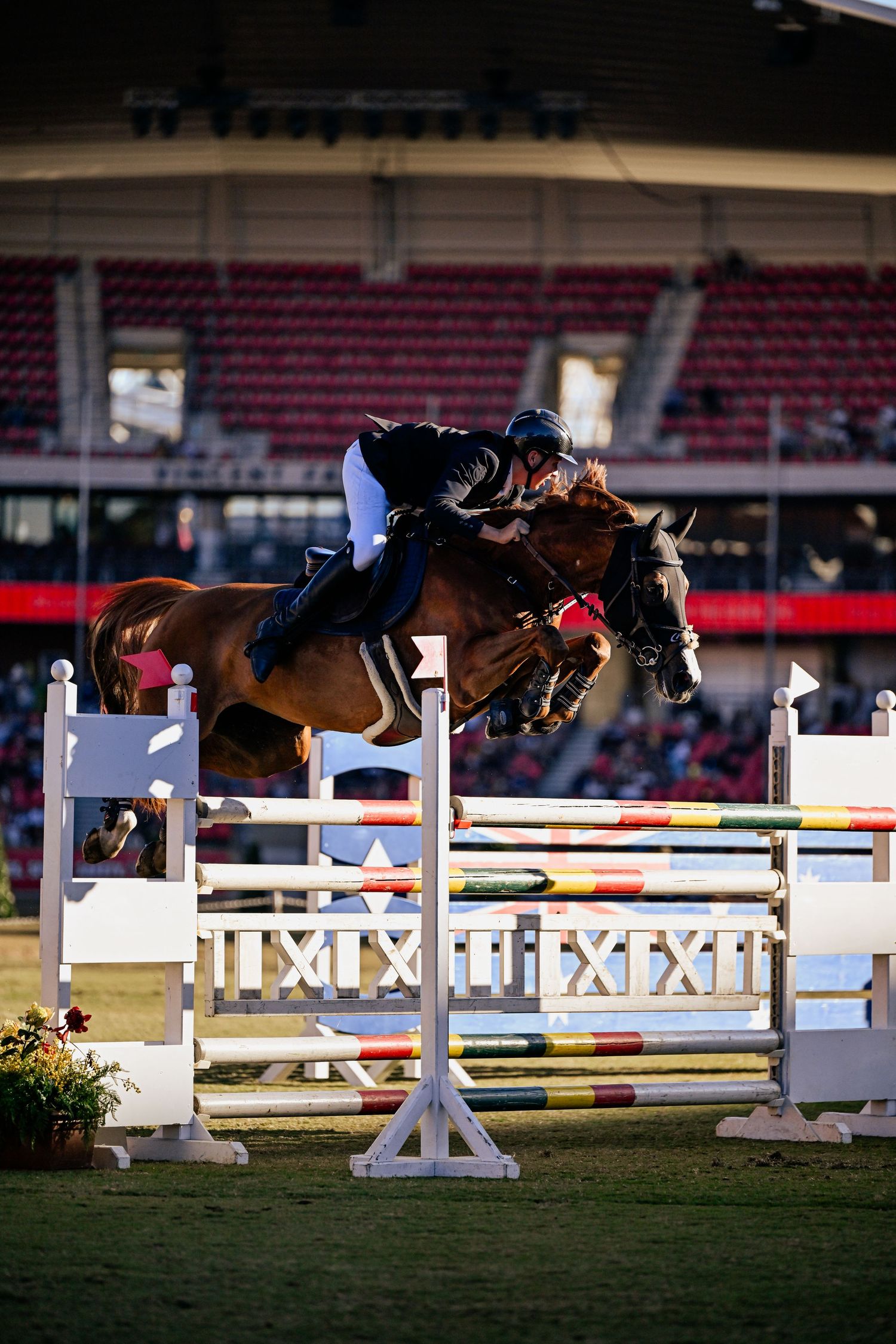 Horse and rider clearing multiple show jumping obstacles in stadium competition.