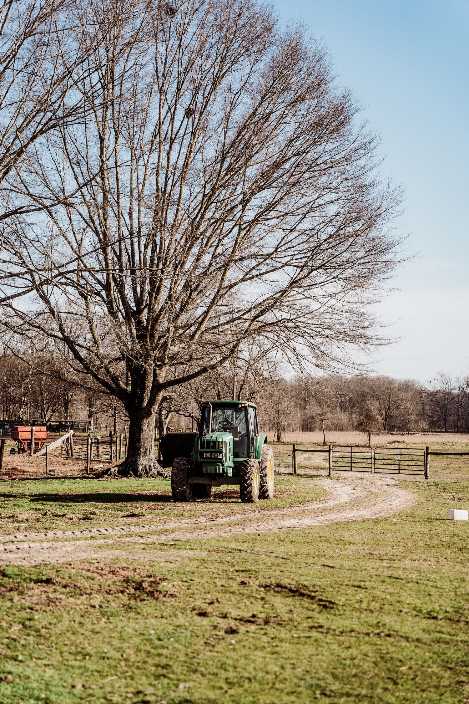 Green tractor parked under a large bare tree on a rural farm path.