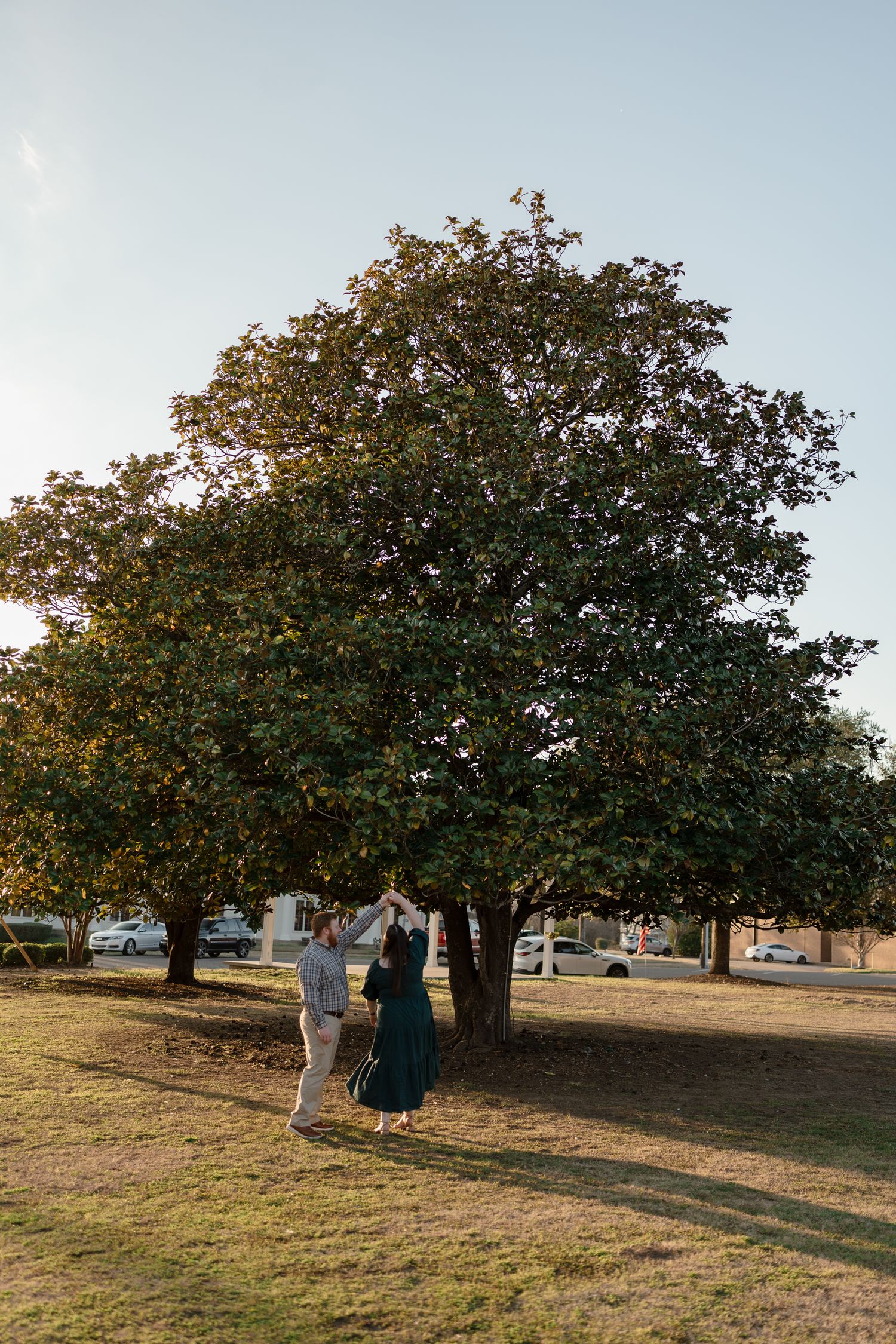 Couple dancing together under a large green tree in a sunny park, woman in teal dress, golden hour light.