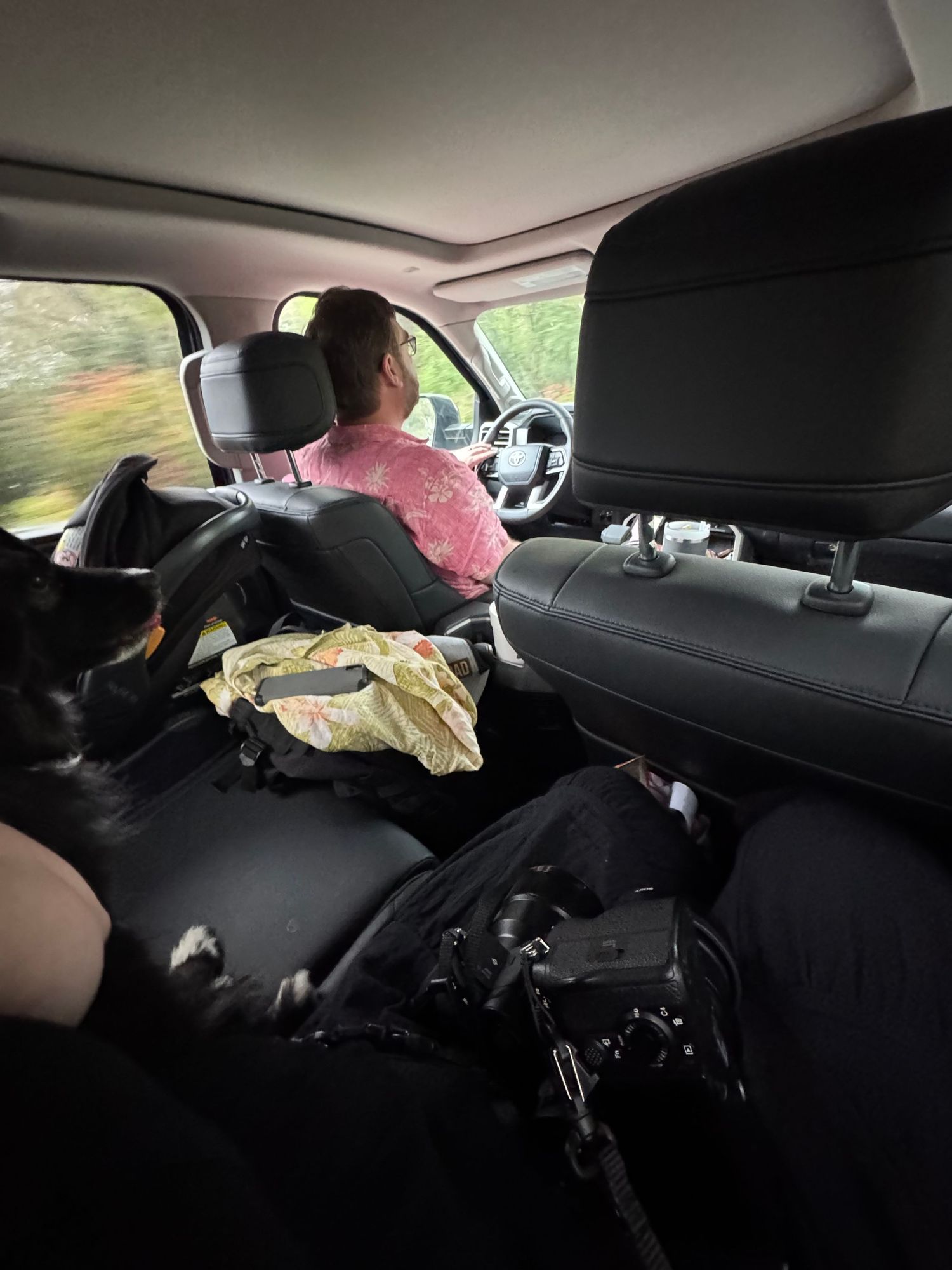 Series of car interior shots showing rear seats and backseat area.
