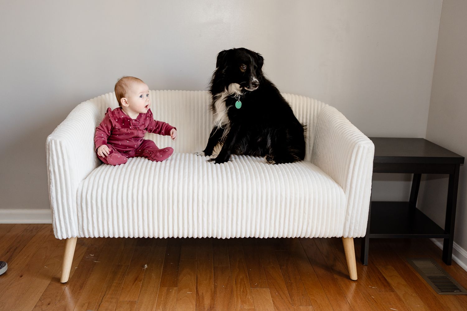 Baby reaches toward black dog while sitting together on white modern loveseat.