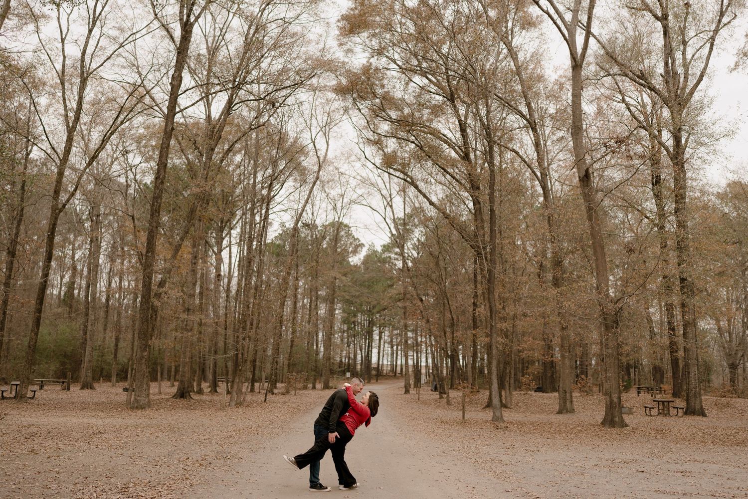 A series of five sepia-toned forest landscape photos showing trees and a person walking through wooded paths.