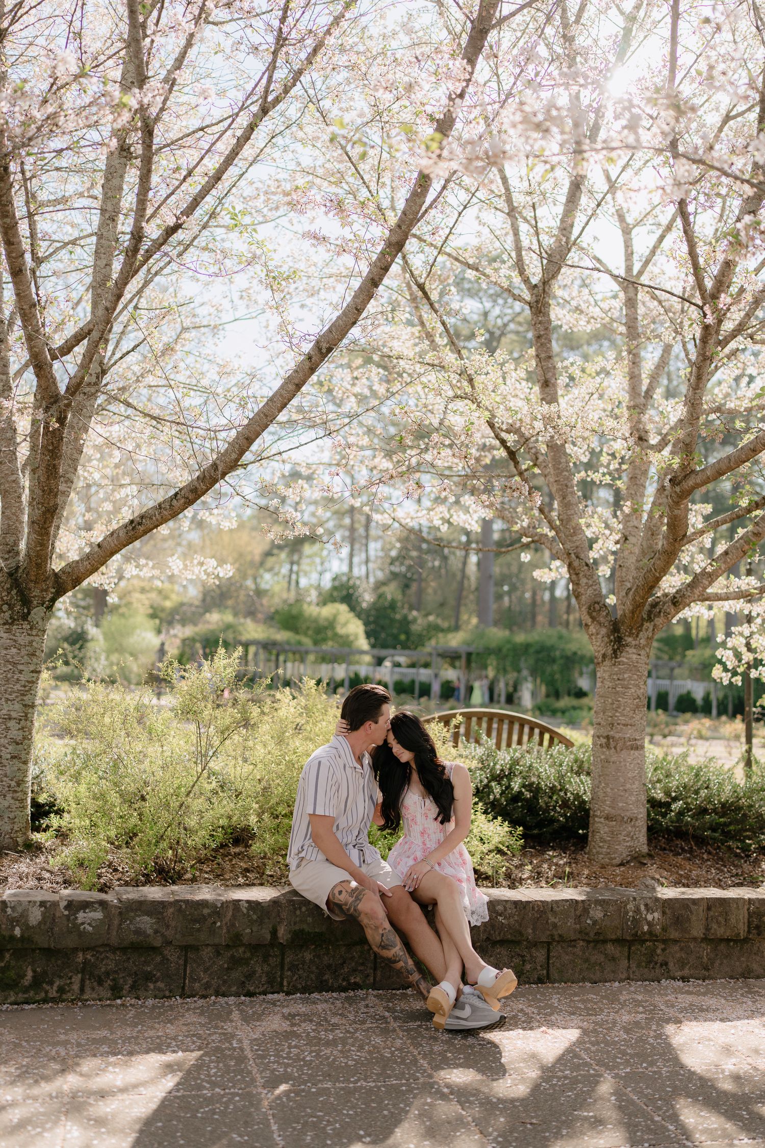 A couple sits together on a stone wall under blooming cherry blossom trees in a sunlit spring garden.