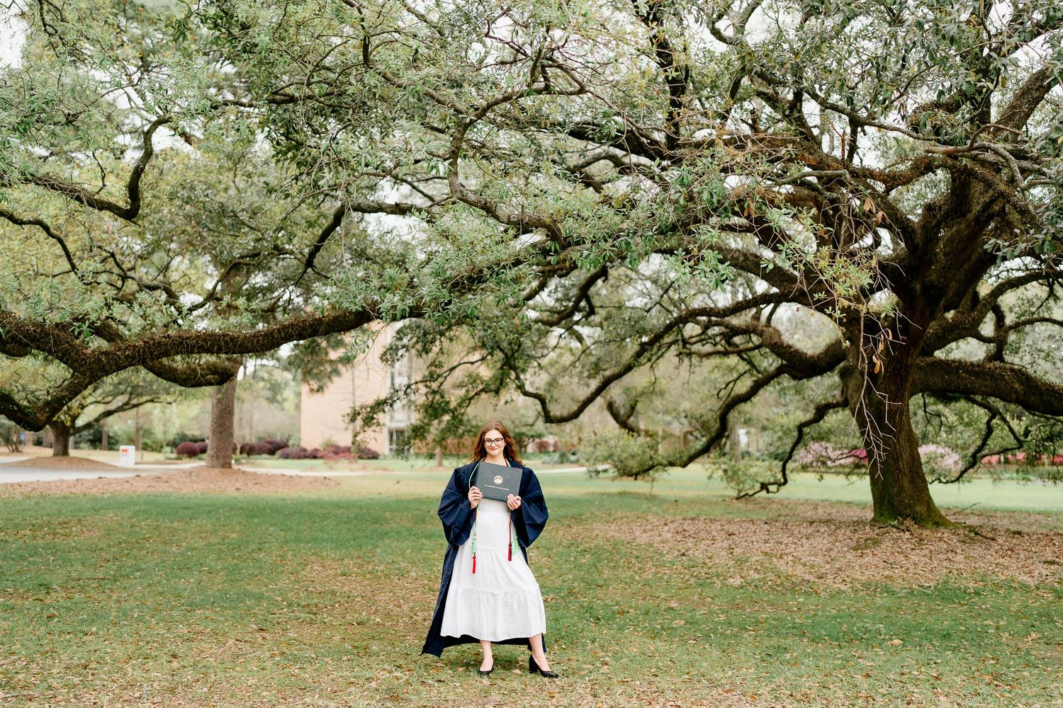 Scenic campus landscape with ancient oak trees and grassy areas.
