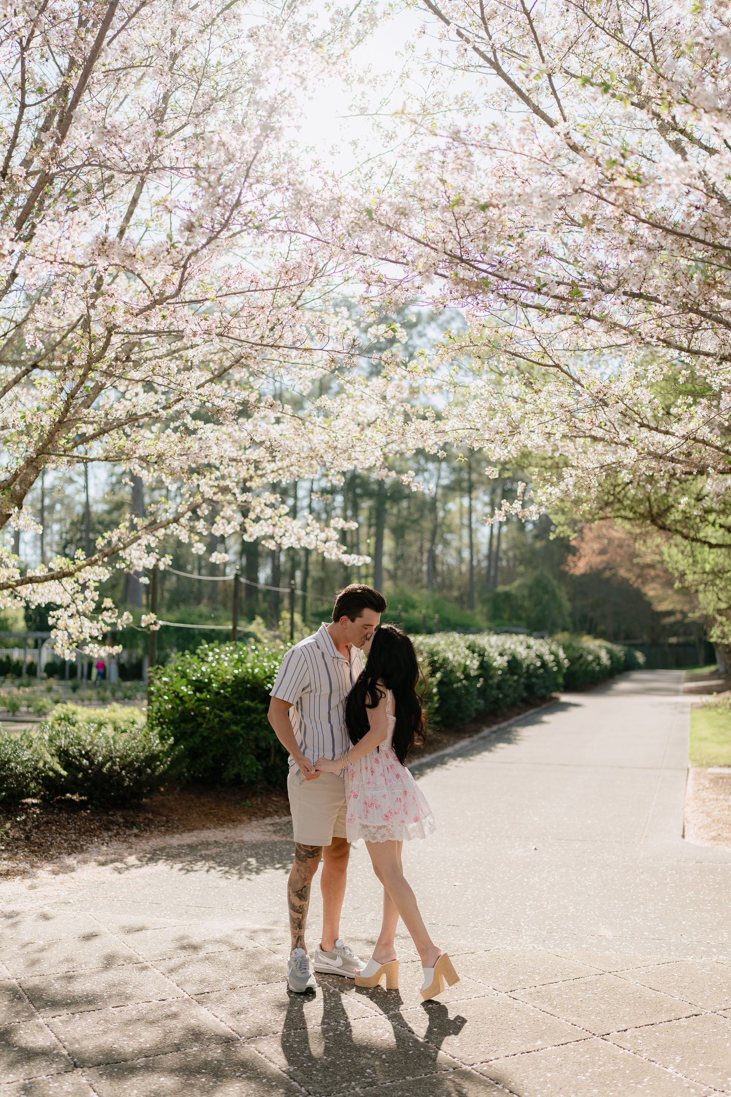 Couple sharing a romantic kiss under blooming cherry blossom trees on a sunny spring day in a park.