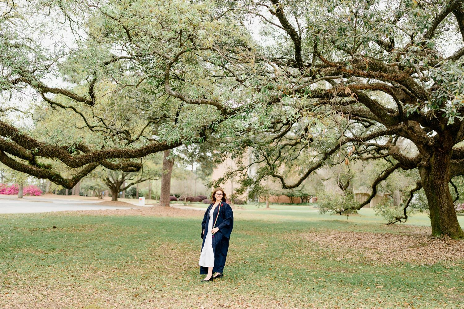 Majestic oak trees spread branches over grassy campus lawn.