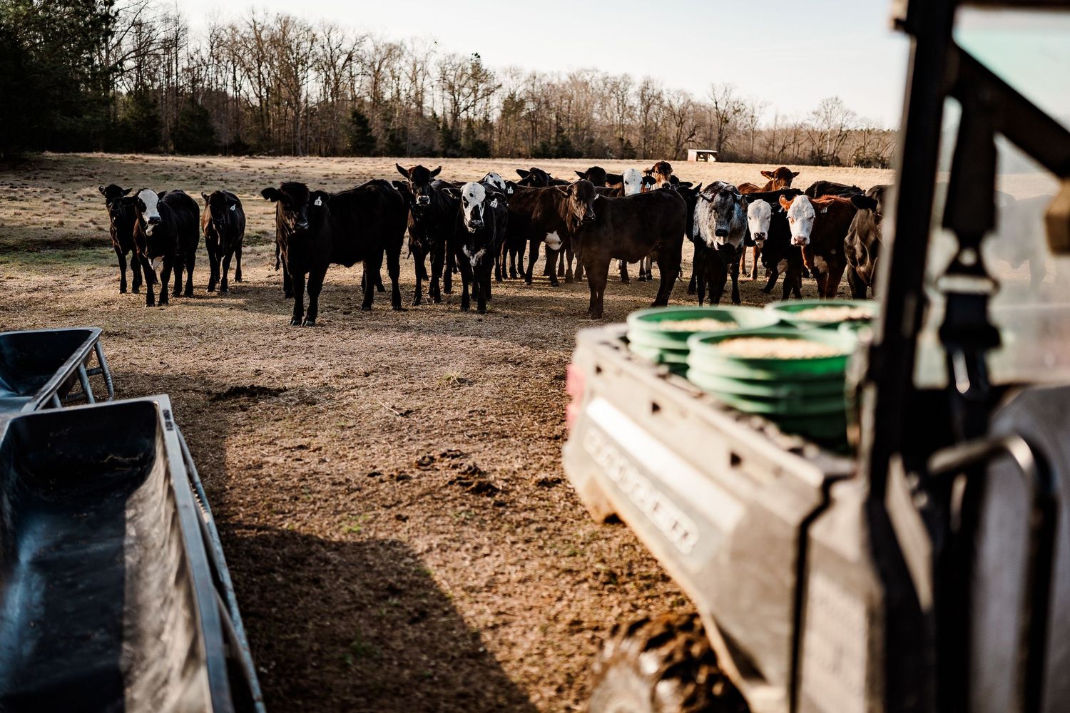 Rural farm scene showing equipment and cattle silhouettes against a bright sky.