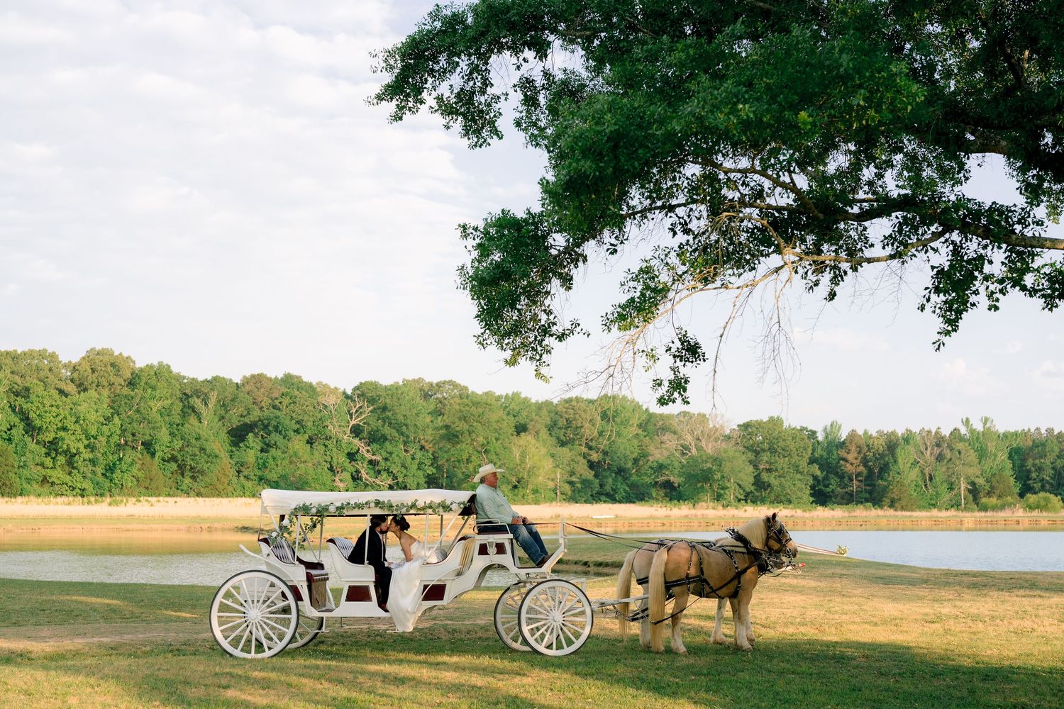 White horse-drawn carriage by a serene lake surrounded by lush green trees on a sunny day.
