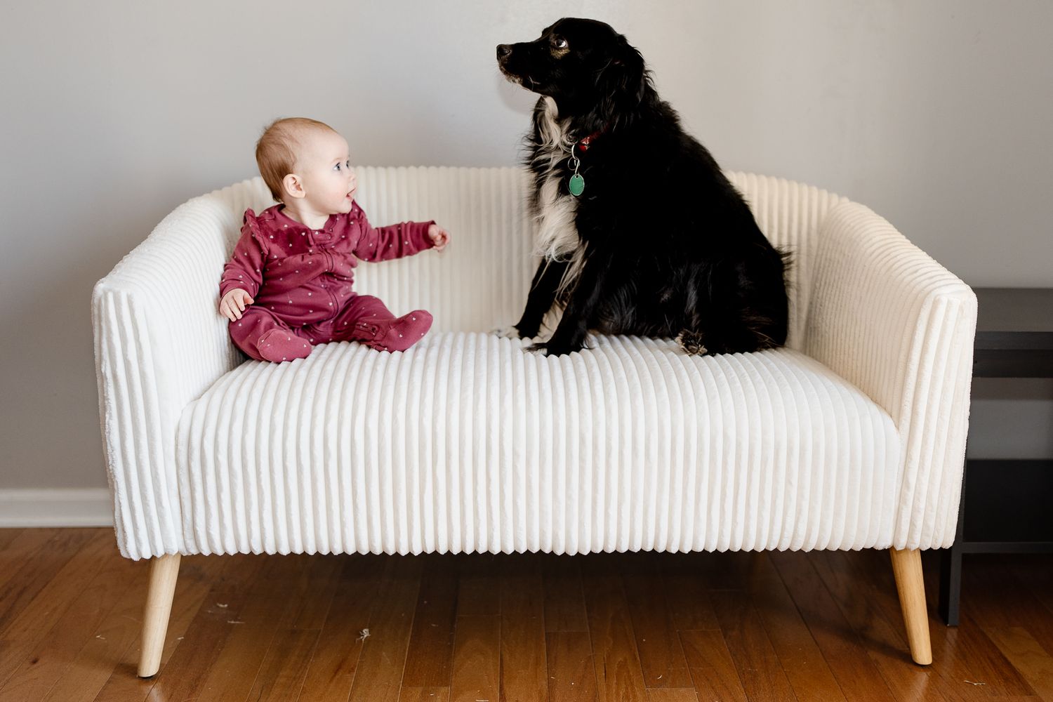 Baby in burgundy outfit and black dog sit together on white ribbed sofa.
