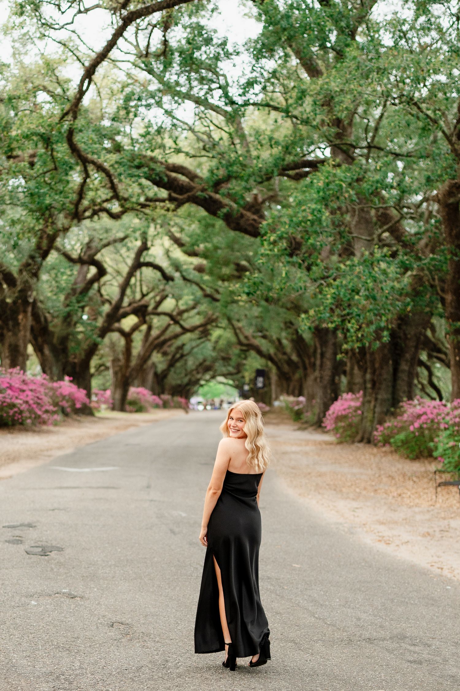 A romantic pathway through a wooded area with blooming pink azaleas and overhanging oak trees creates a dreamy scene.