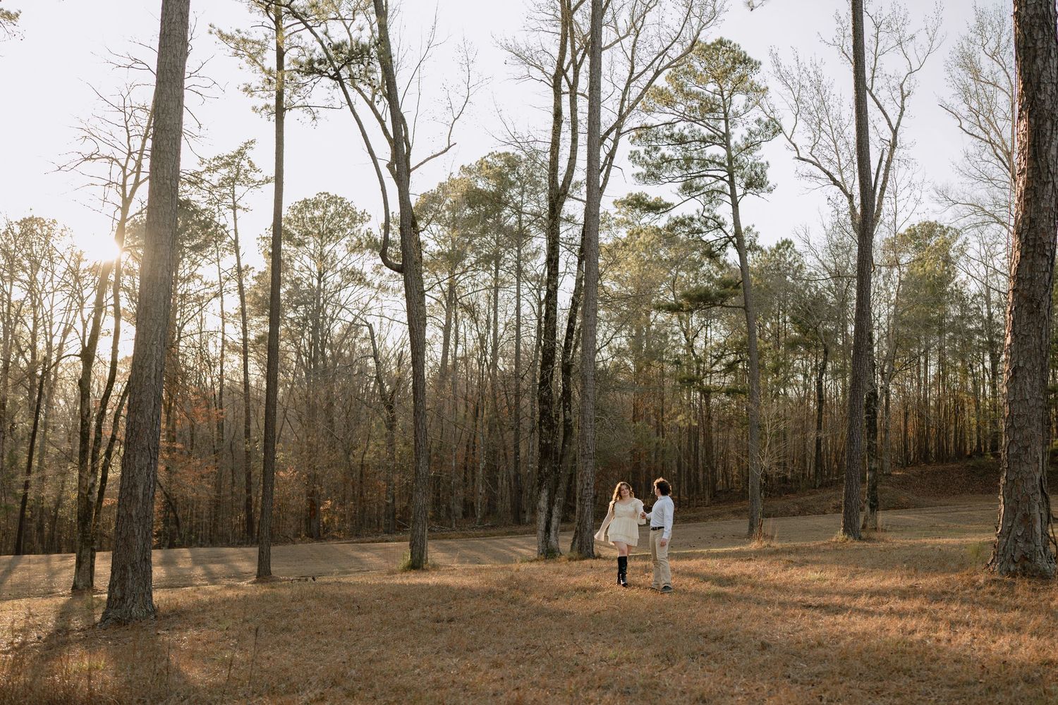 Couple walking hand in hand through a sunlit forest clearing surrounded by tall pine trees.