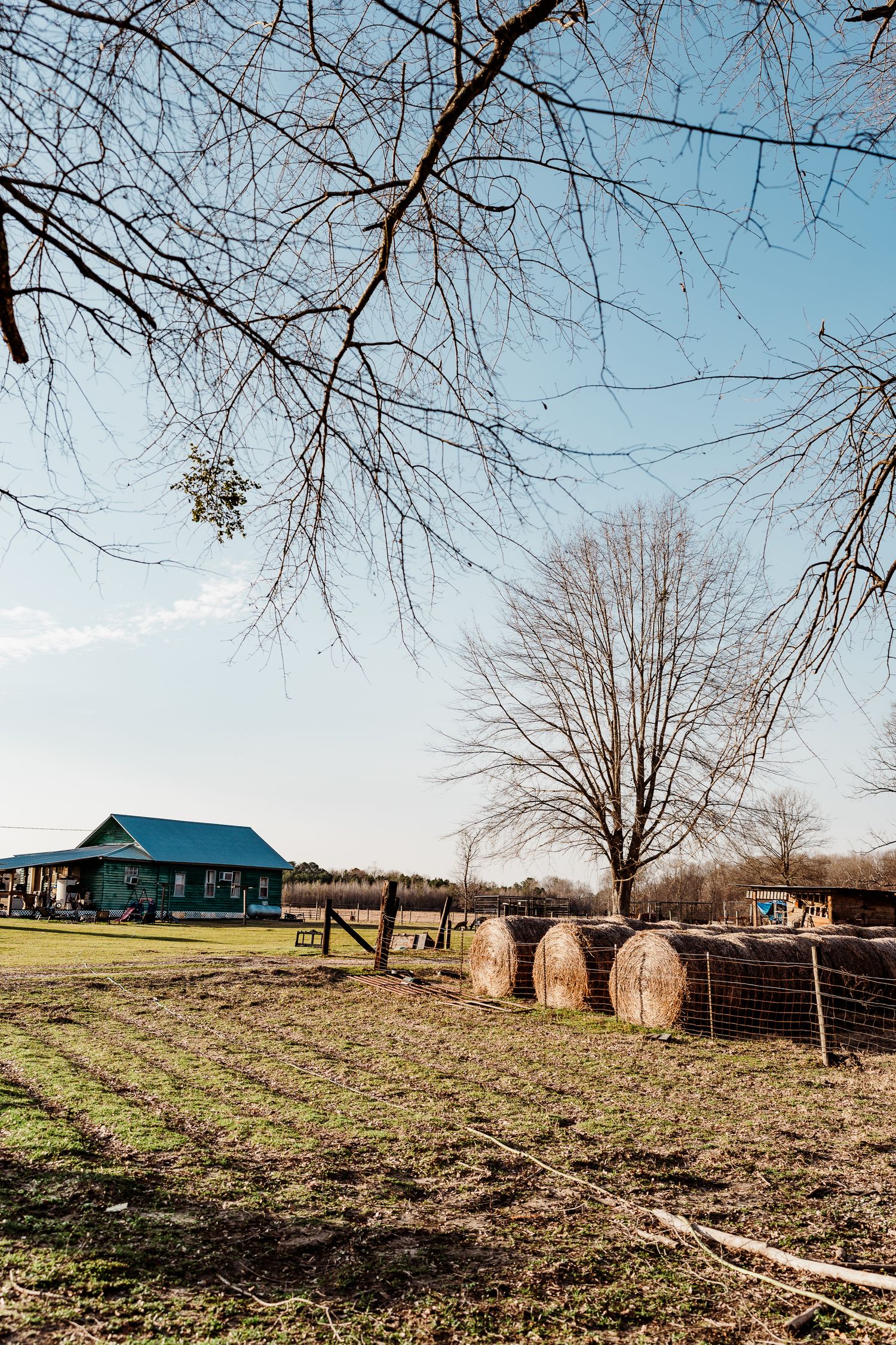 Rural farm landscape with hay bales and blue barn under winter trees.