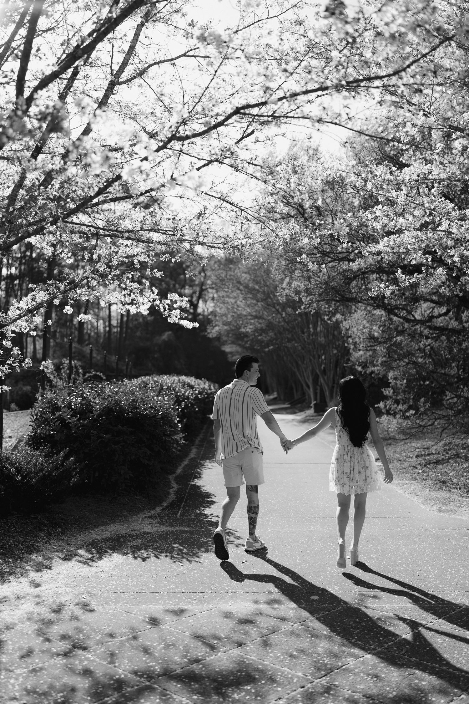 Black and white photo of couple holding hands walking away on tree-lined path with cherry blossoms.