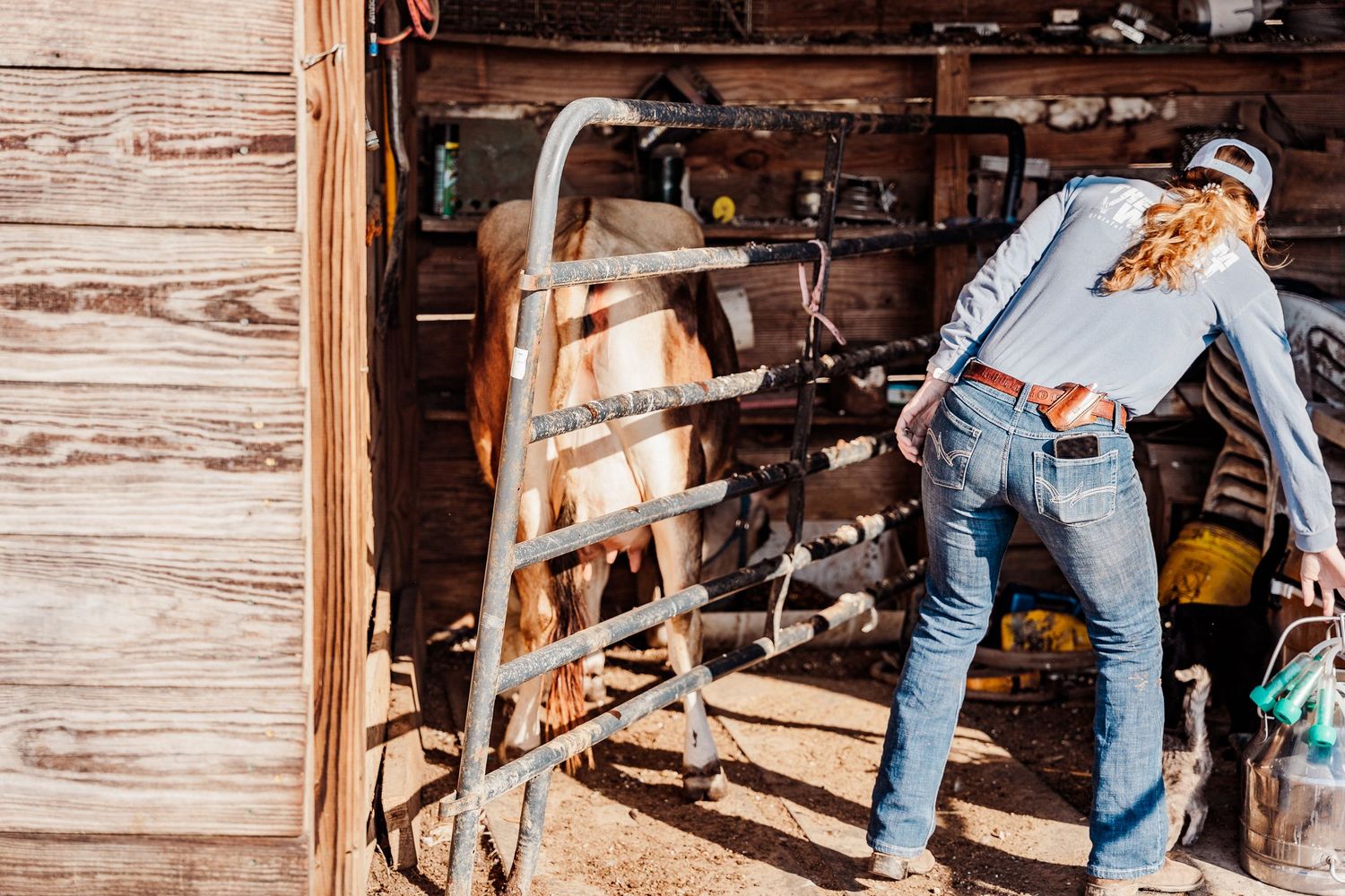 Someone in jeans tends to farm equipment inside a wooden barn structure.