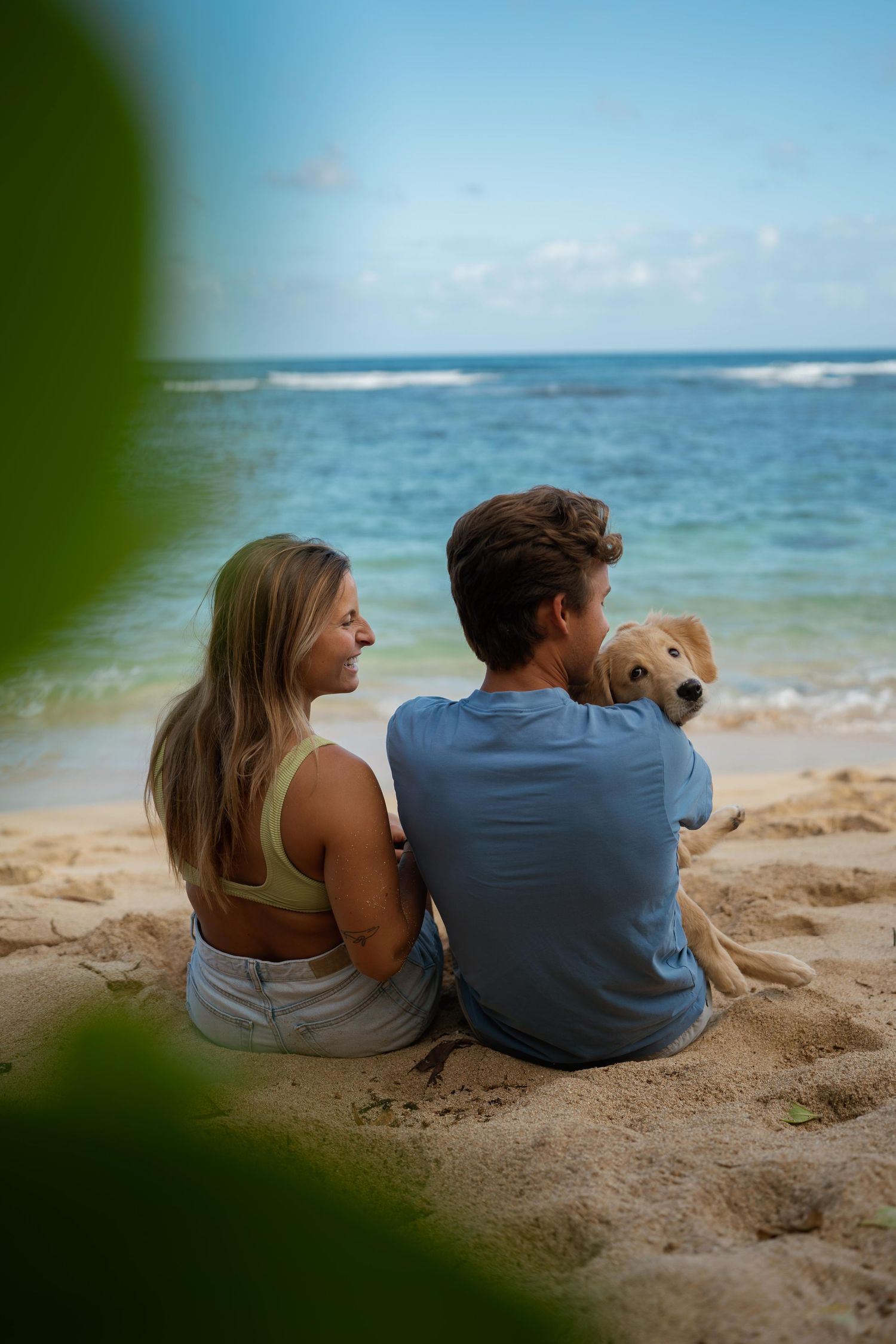 couple sitting on beach with their dog