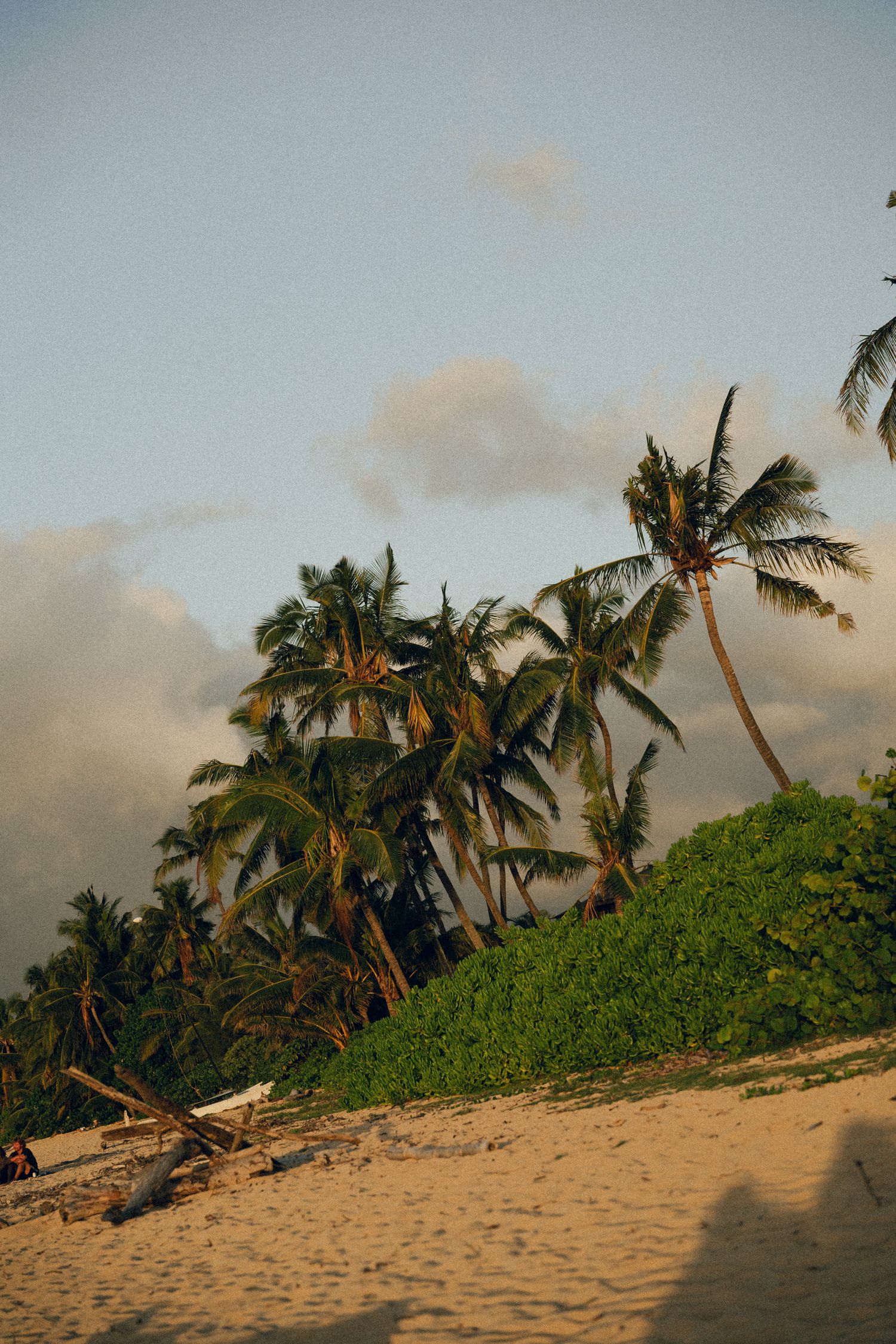 a beach on Oahu, Hawaii