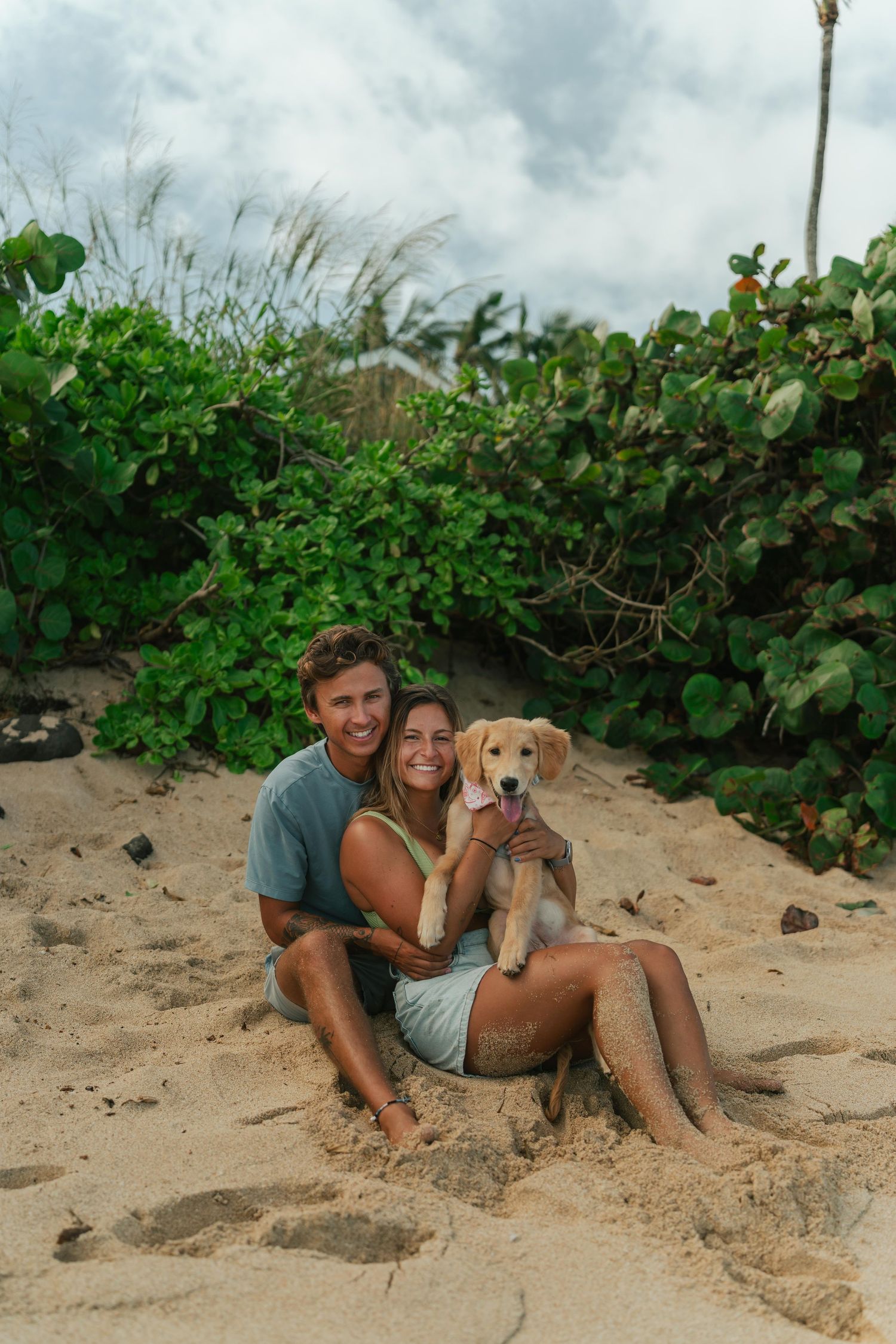 couple sitting on beach with their dog