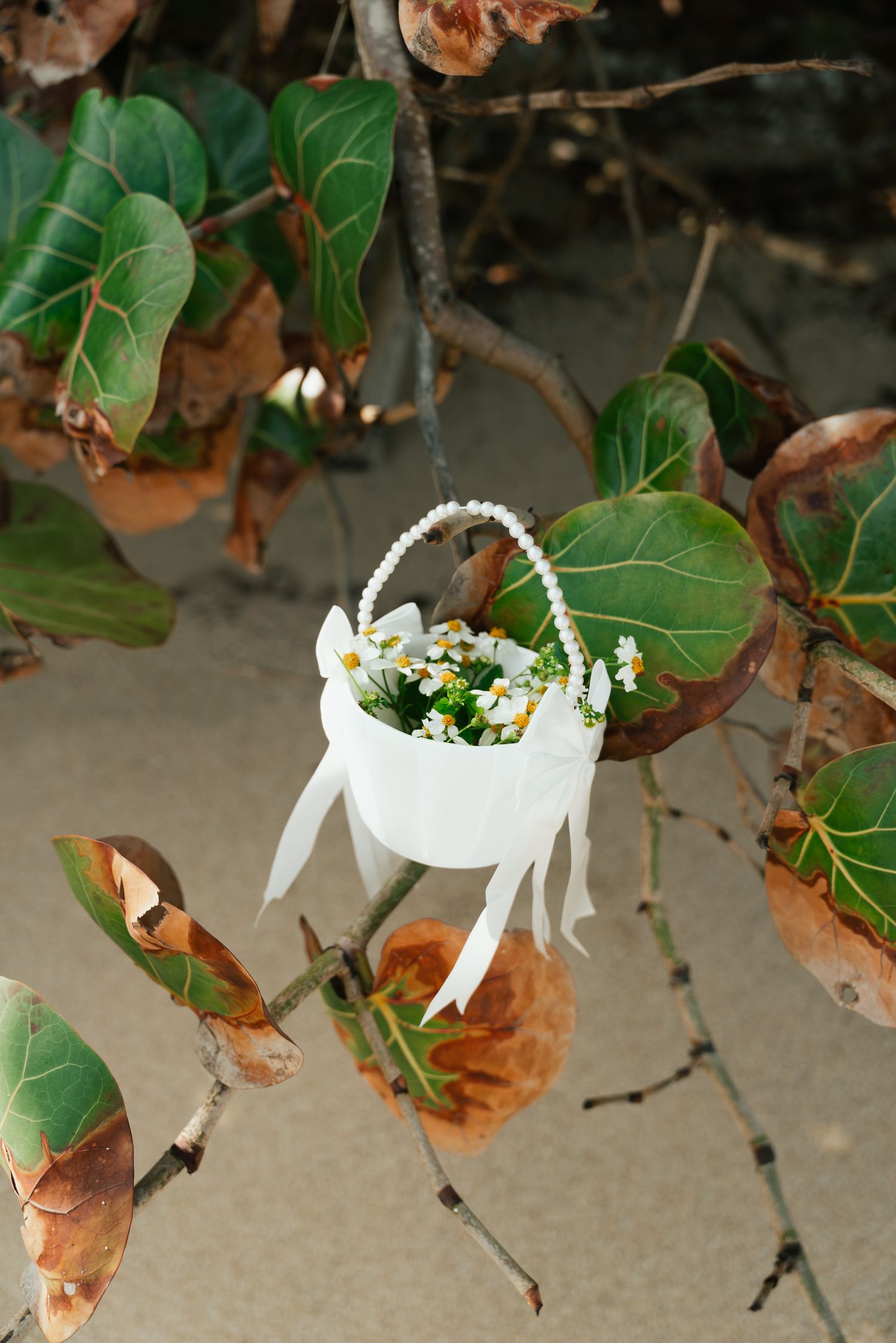 basket filled with flowers