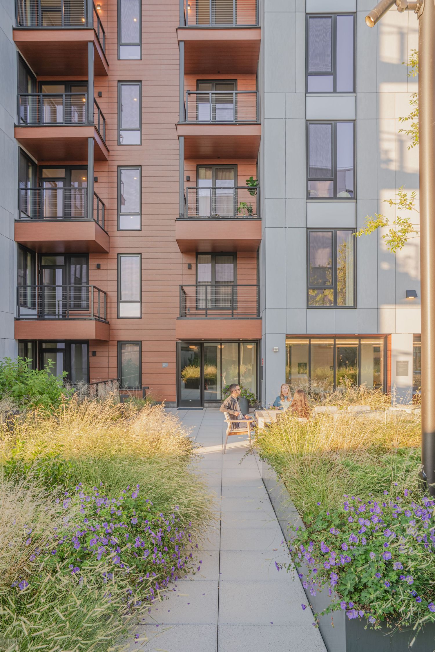 Contemporary apartment complex with wood accents and balconies surrounded by purple wildflowers and native grasses.