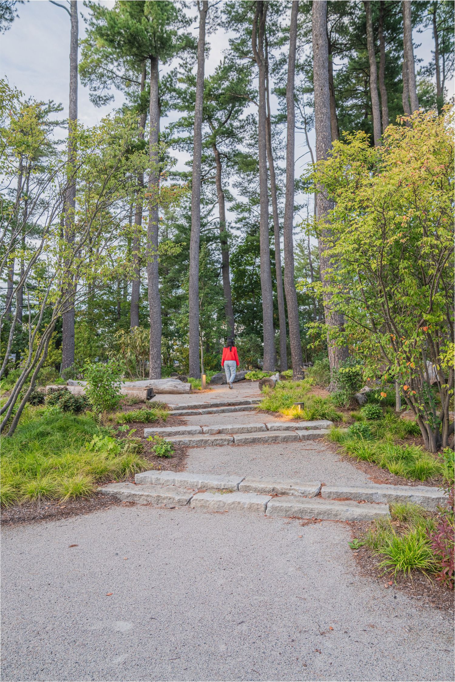 Stone steps leading upward through a forested area with evergreen trees and landscaping.