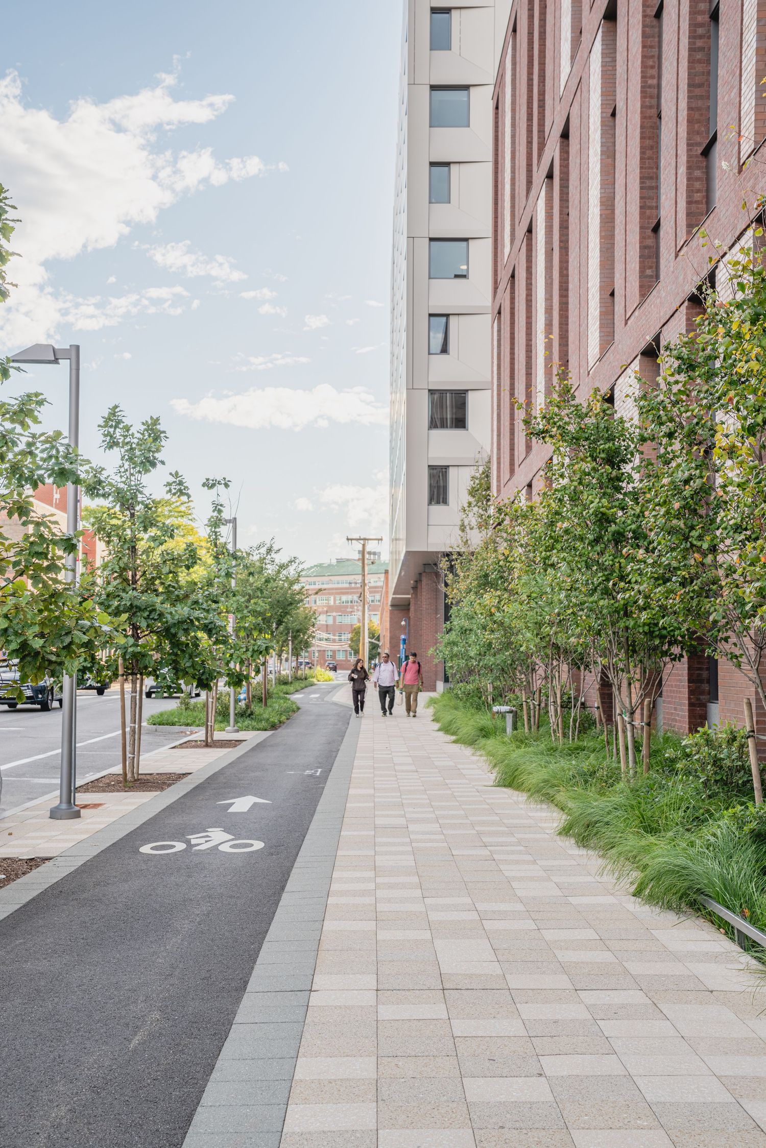 Urban sidewalk with dedicated bike lane alongside landscaped planters and brick building facade.
