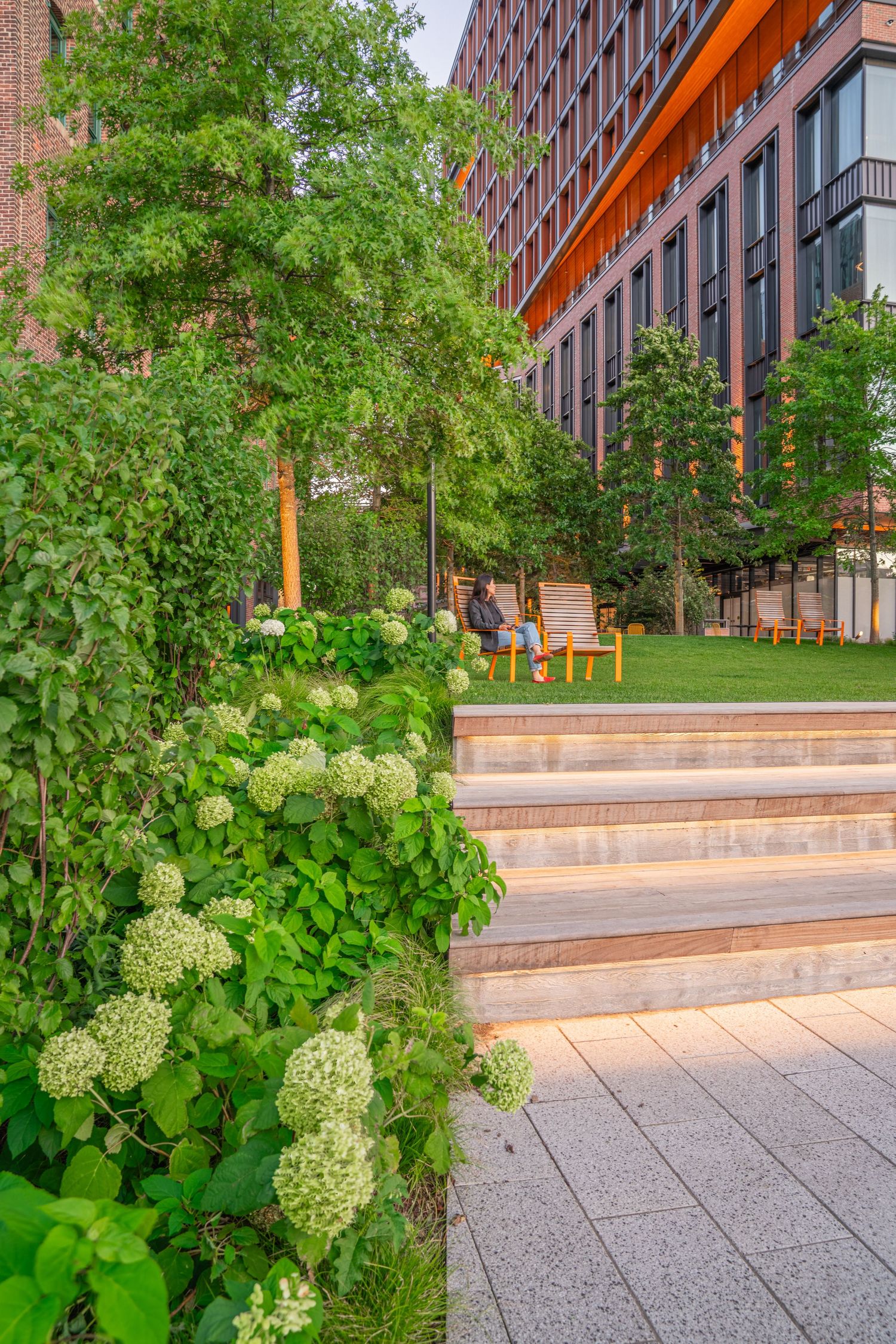 Modern brick building with landscaped terraces featuring white hydrangea blooms.
