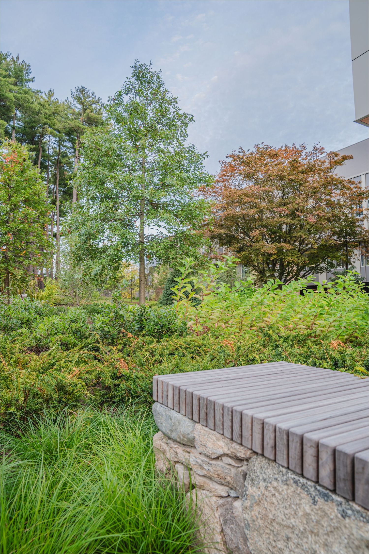 Wooden bench seating built into stone wall surrounded by lush garden landscaping.