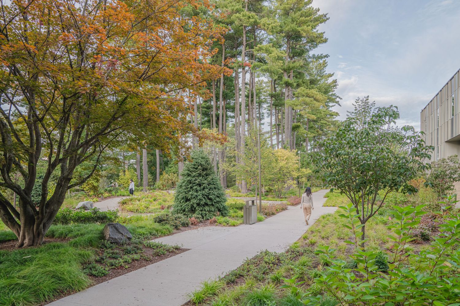 Curved pathway through autumn trees and landscaped grounds.
