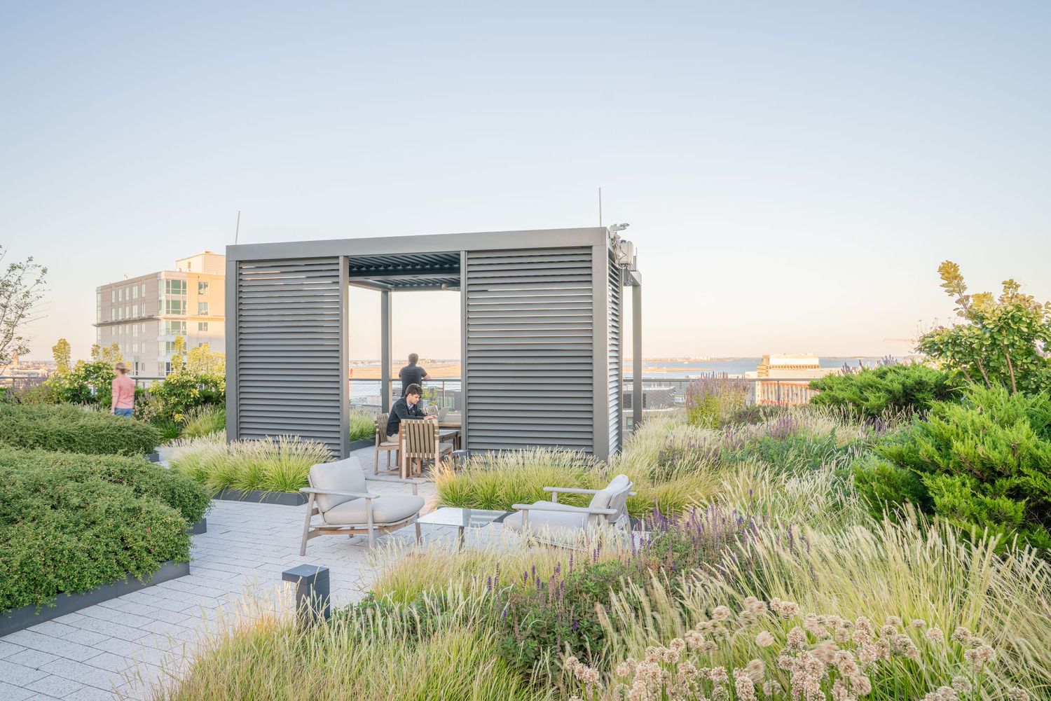 Rooftop terrace with ornamental grasses and walking paths during golden hour.