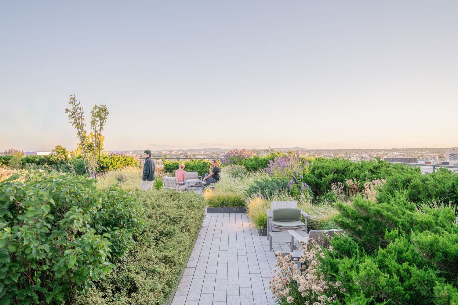 Rooftop garden terrace with paved walkways and lush greenery against city skyline.