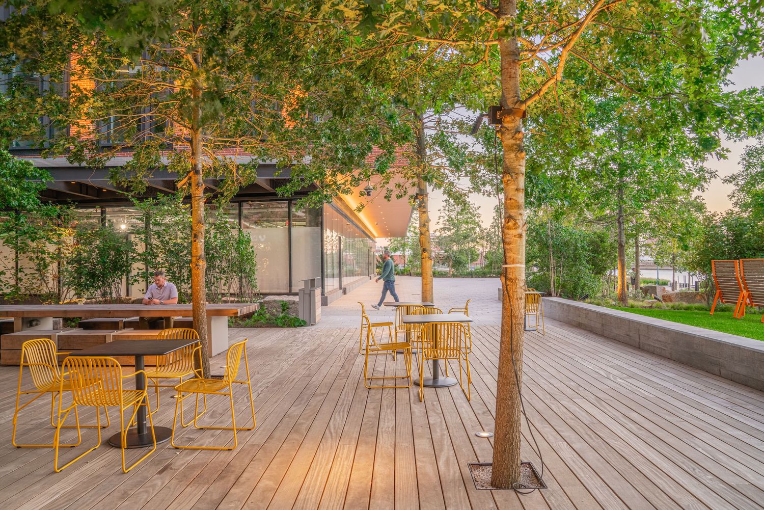 Wooden deck walkway surrounded by lush greenery and trees in an urban setting.