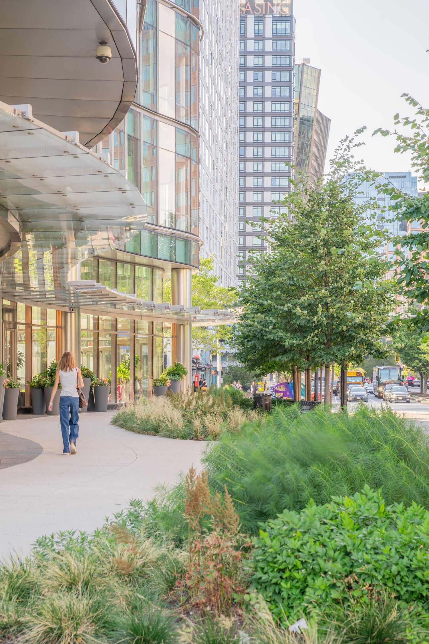 Landscaped walkway with ornamental grasses and shrubs along a modern building facade.