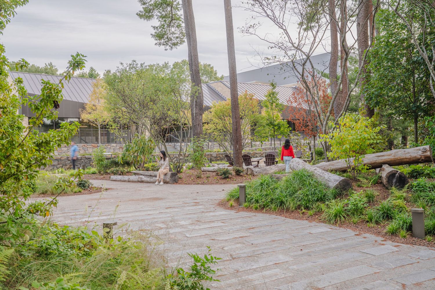 Winding paved pathway through natural landscaping with trees and shrubs.