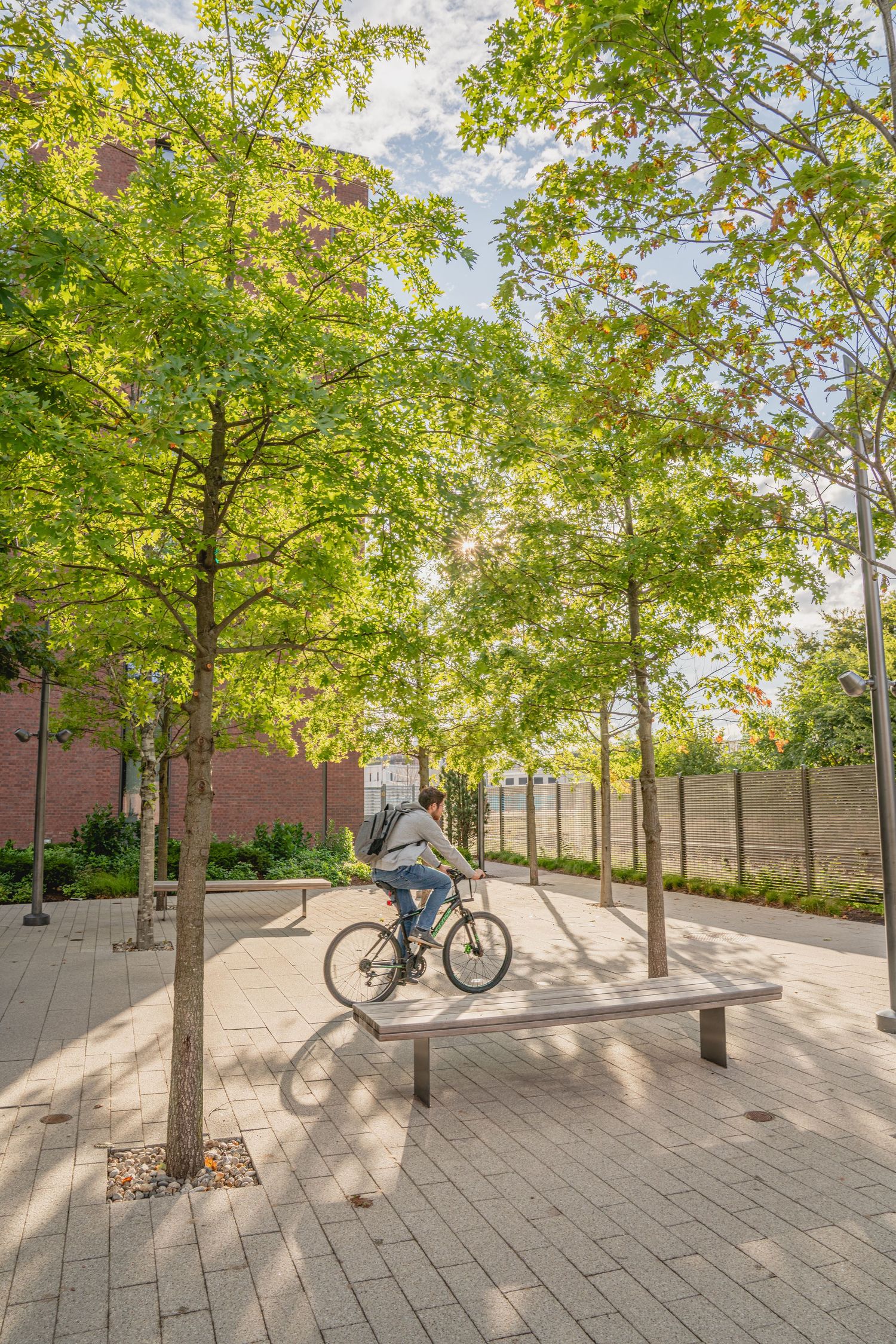 Bicycle parked among trees in a paved urban courtyard setting.