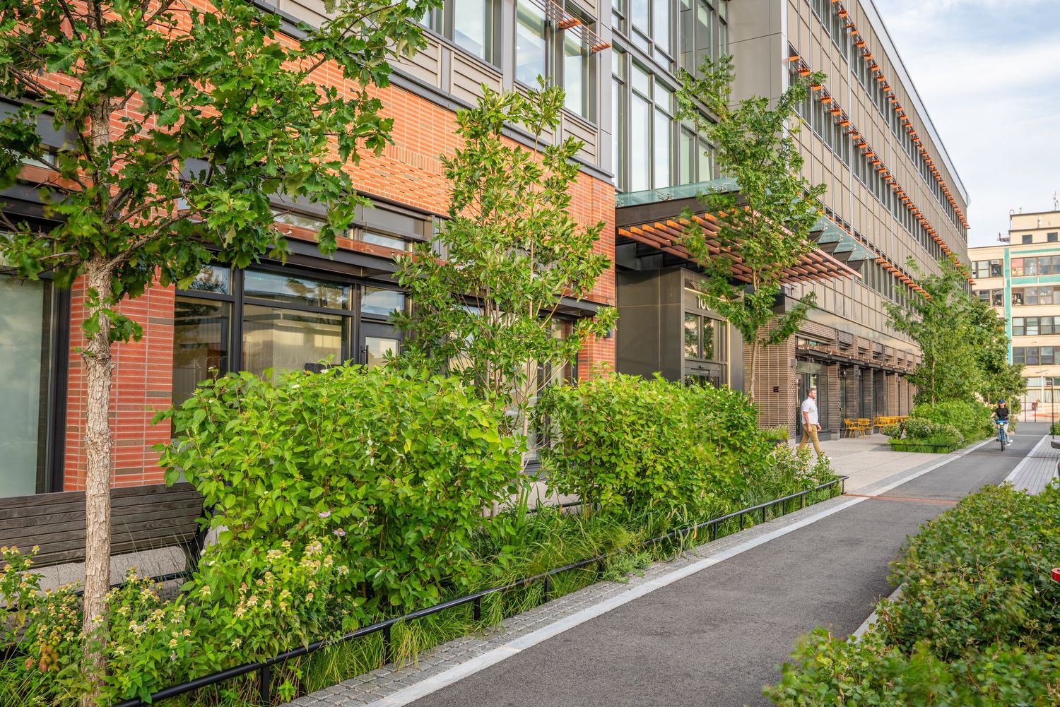 Tree-lined pedestrian pathway alongside modern brick building with glass windows.