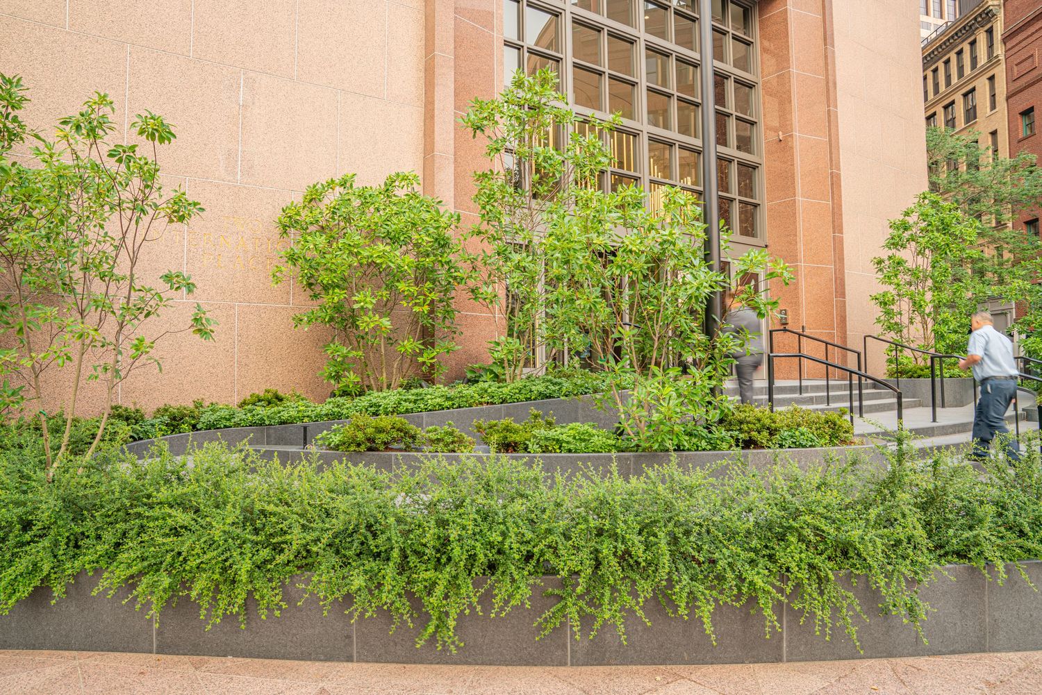 Glass-fronted institutional building facade with concrete steps and green foliage.