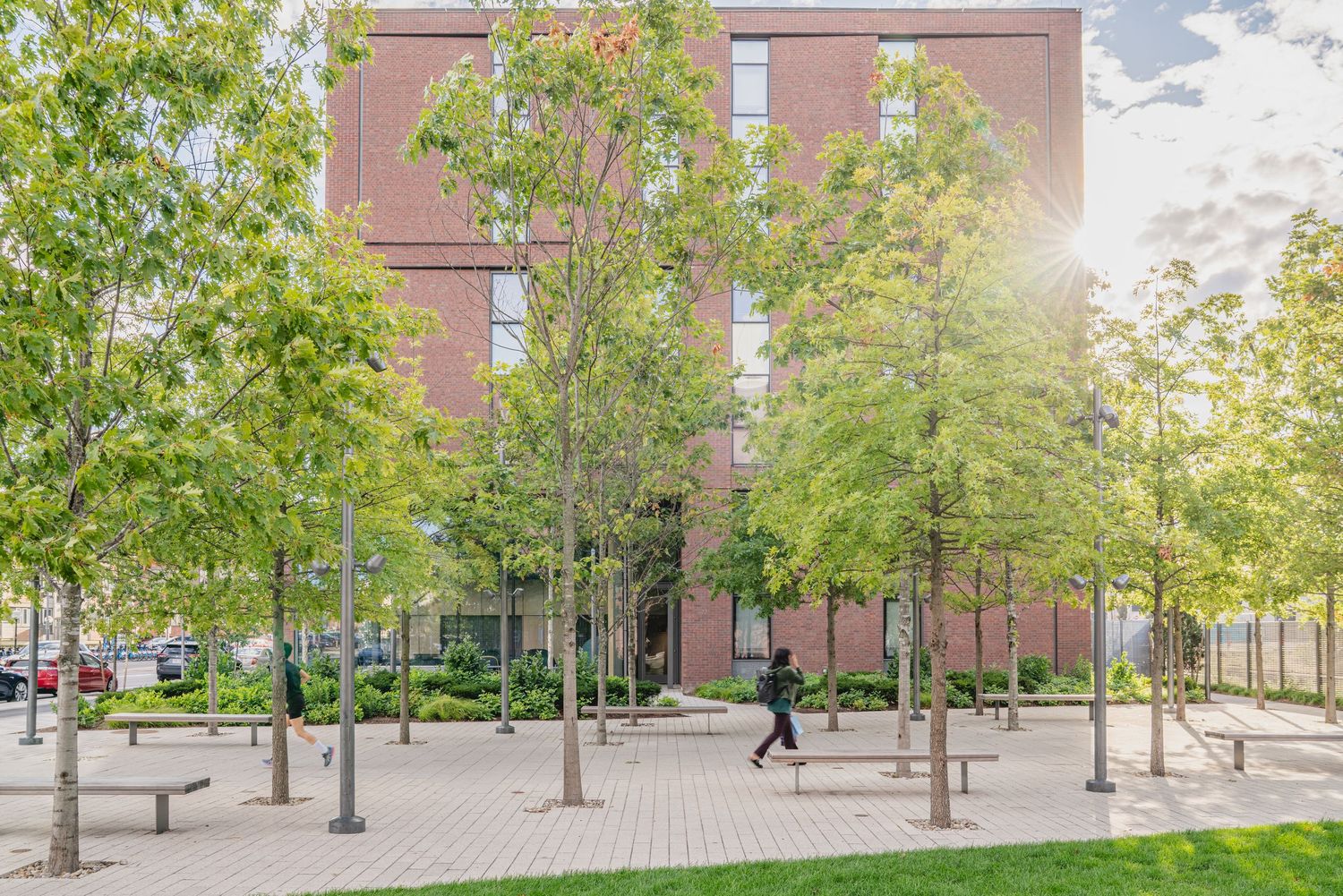 Tree-lined pedestrian plaza with brick buildings and benches on a sunny afternoon.