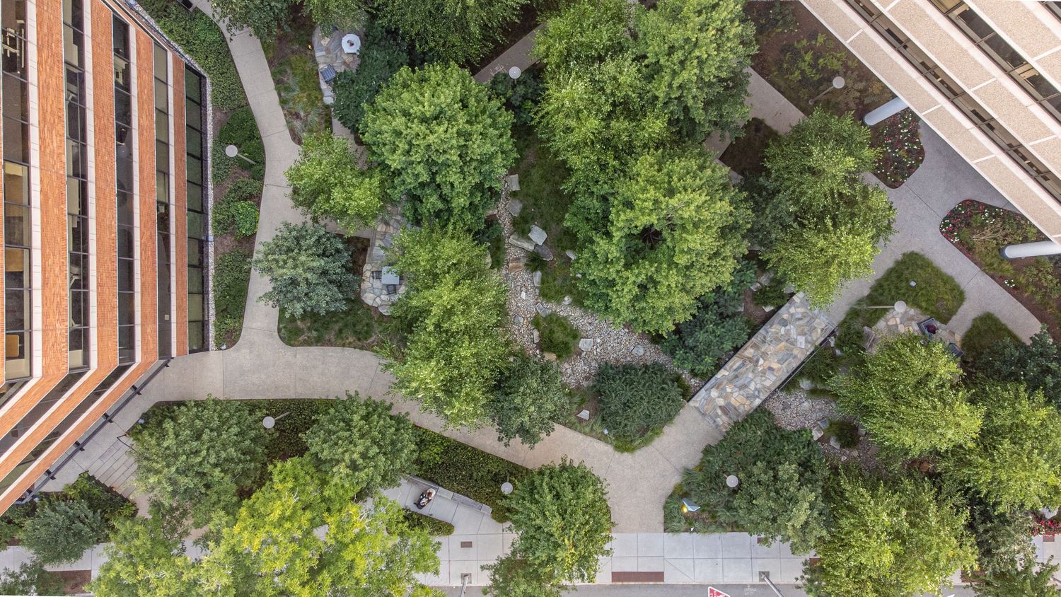 Aerial view of winding paths through a lush urban garden with trees and landscaping.